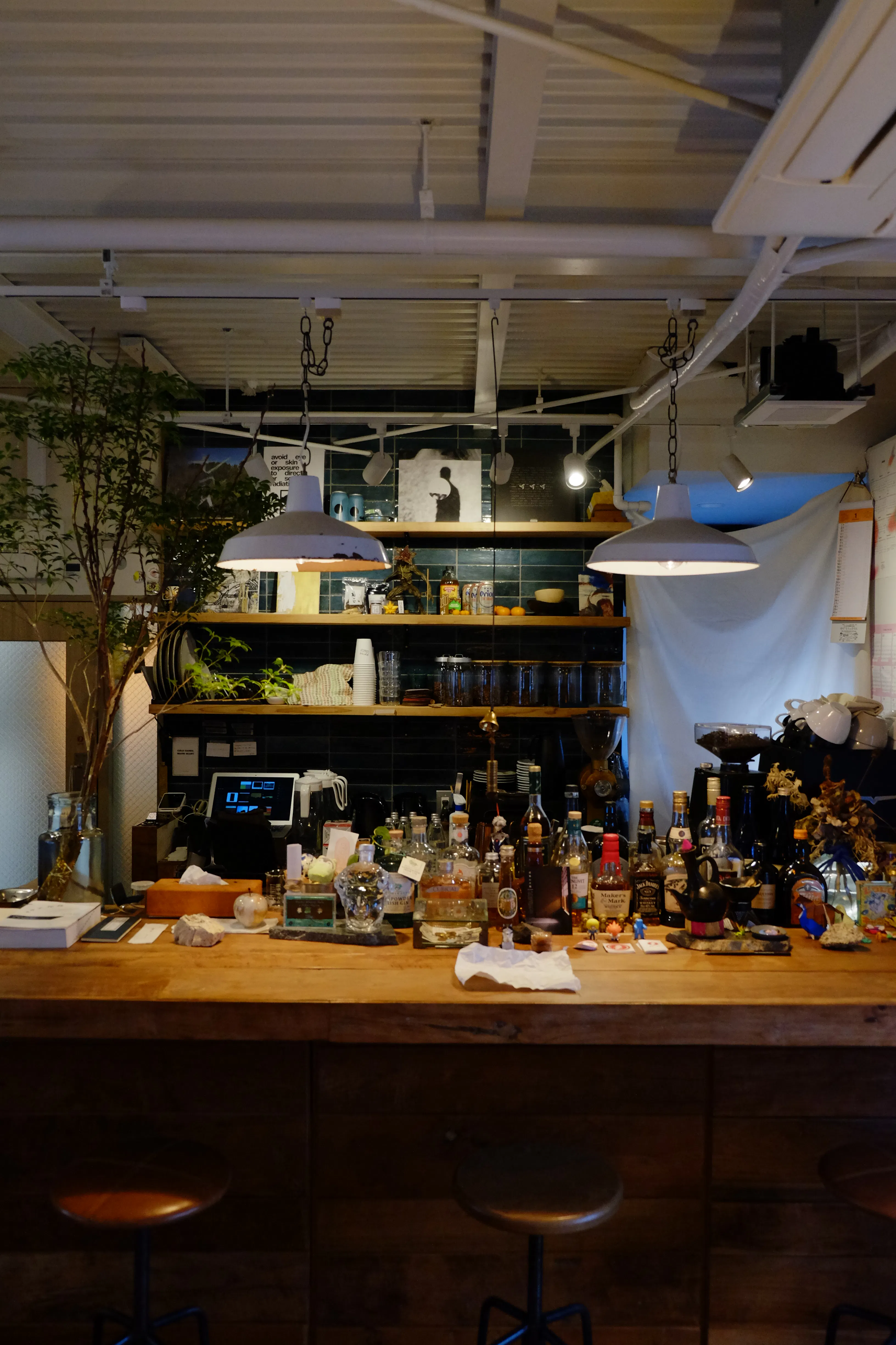 【四ツ橋駅4分】ウッド基調で様々な観葉植物が共存した撮影に最適なレンタルスペース