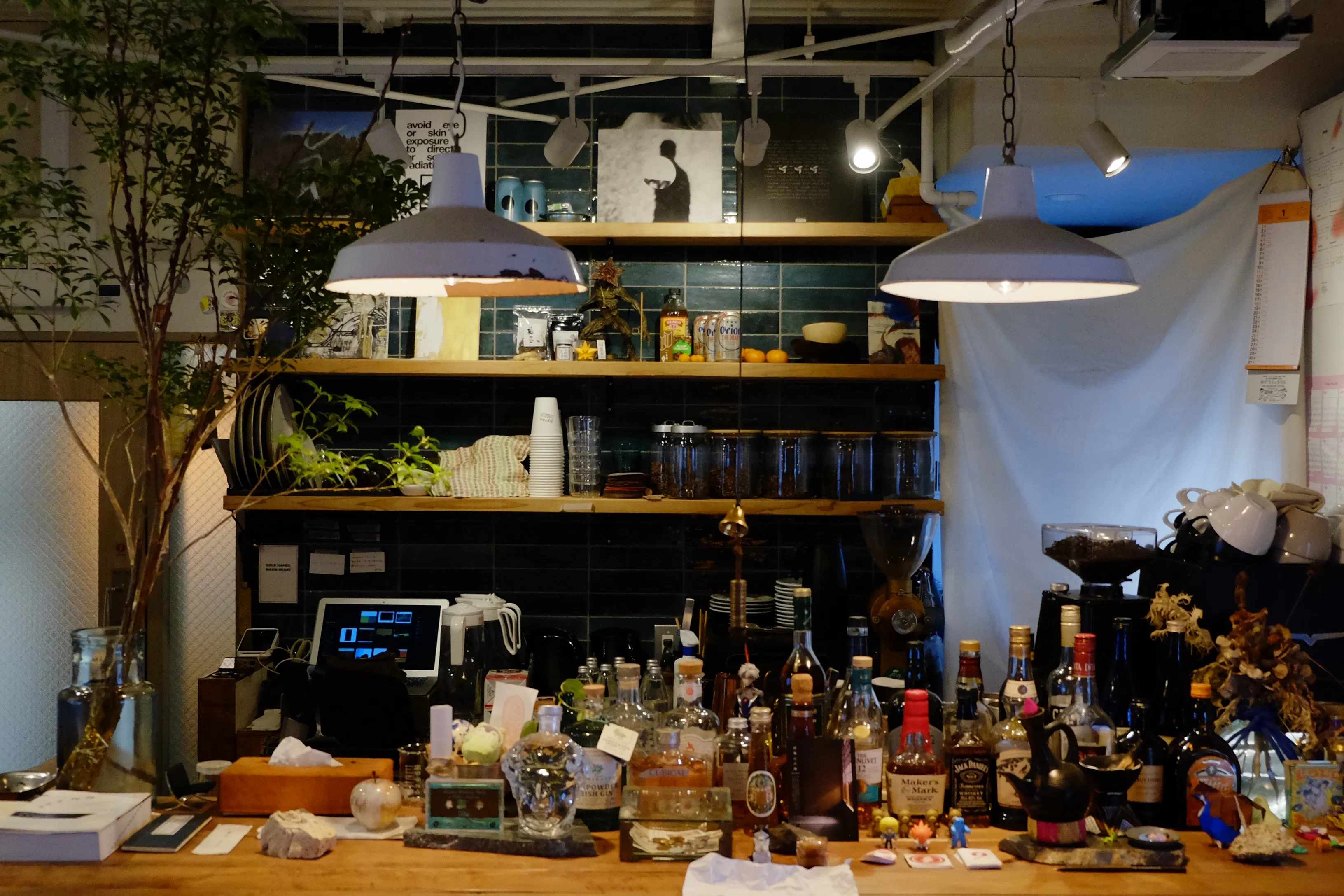 【四ツ橋駅4分】ウッド基調で様々な観葉植物が共存した撮影に最適なレンタルスペース