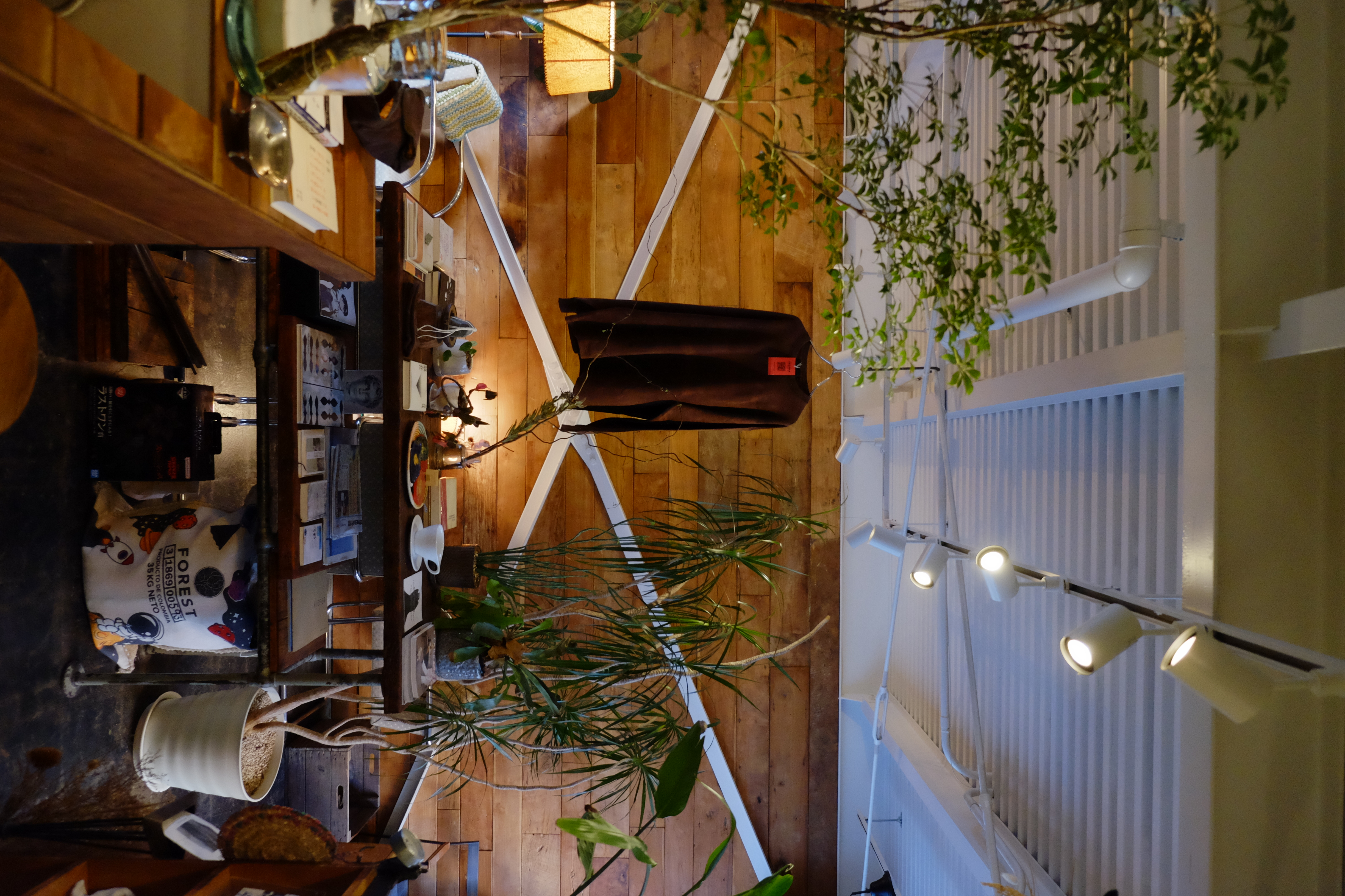 【四ツ橋駅4分】ウッド基調で様々な観葉植物が共存した撮影に最適なレンタルスペース