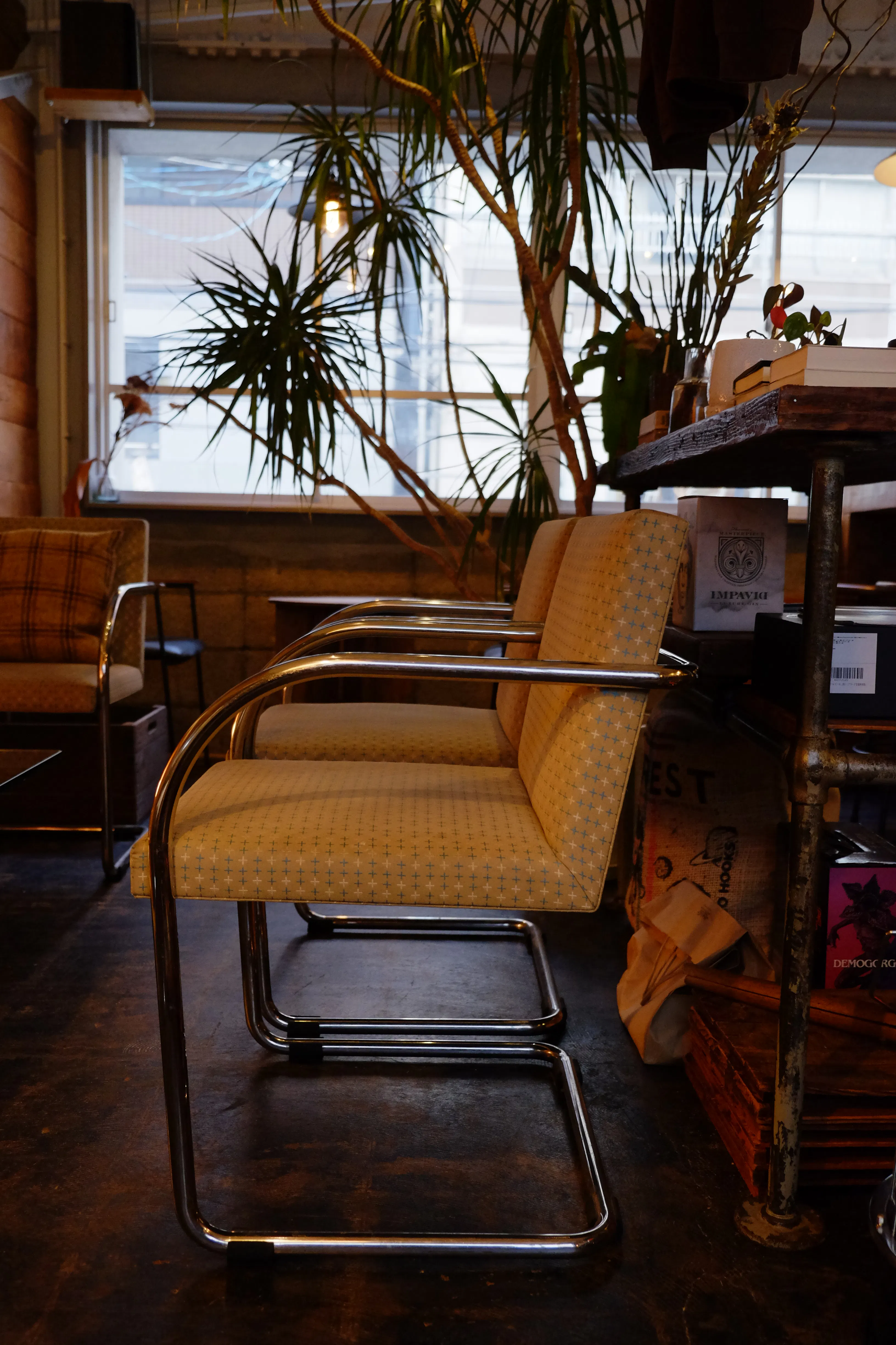 【四ツ橋駅4分】ウッド基調で様々な観葉植物が共存した撮影に最適なレンタルスペース