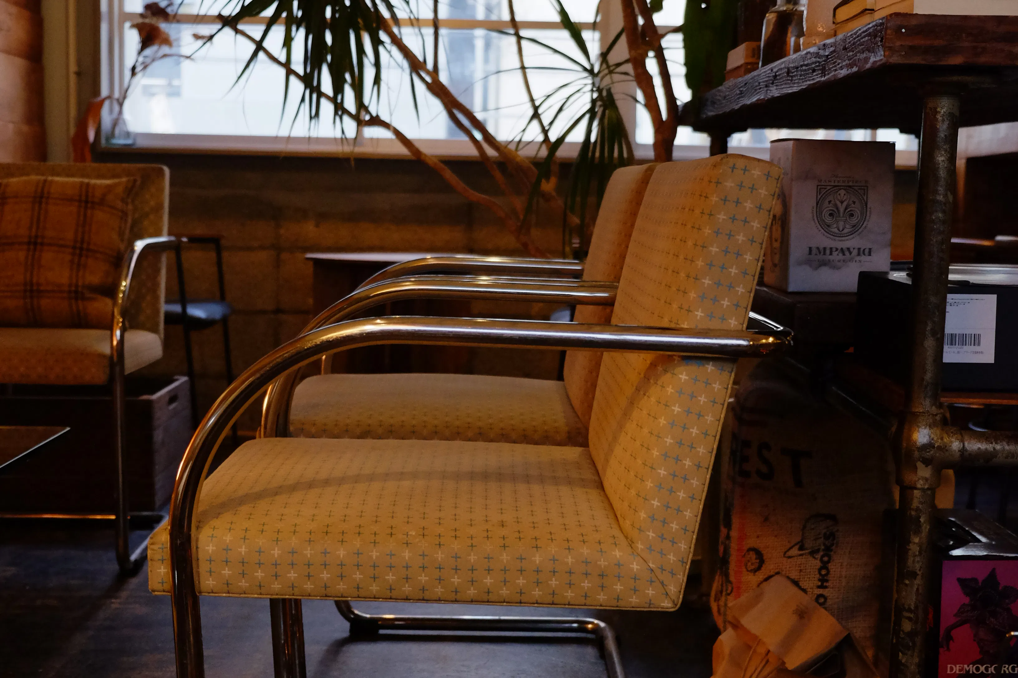 【四ツ橋駅4分】ウッド基調で様々な観葉植物が共存した撮影に最適なレンタルスペース