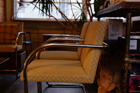 【四ツ橋駅4分】ウッド基調で様々な観葉植物が共存した撮影に最適なレンタルスペース