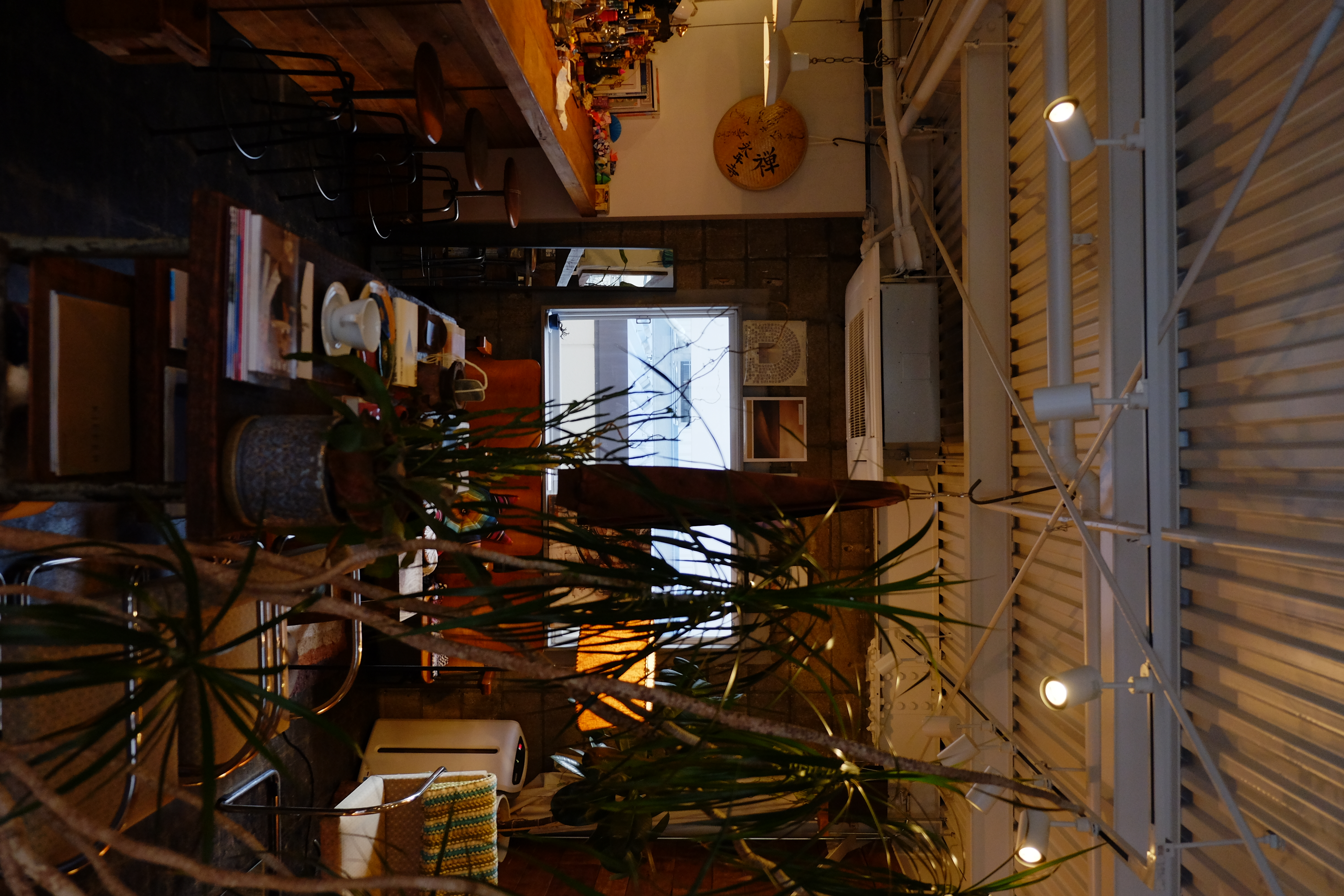 【四ツ橋駅4分】ウッド基調で様々な観葉植物が共存した撮影に最適なレンタルスペース