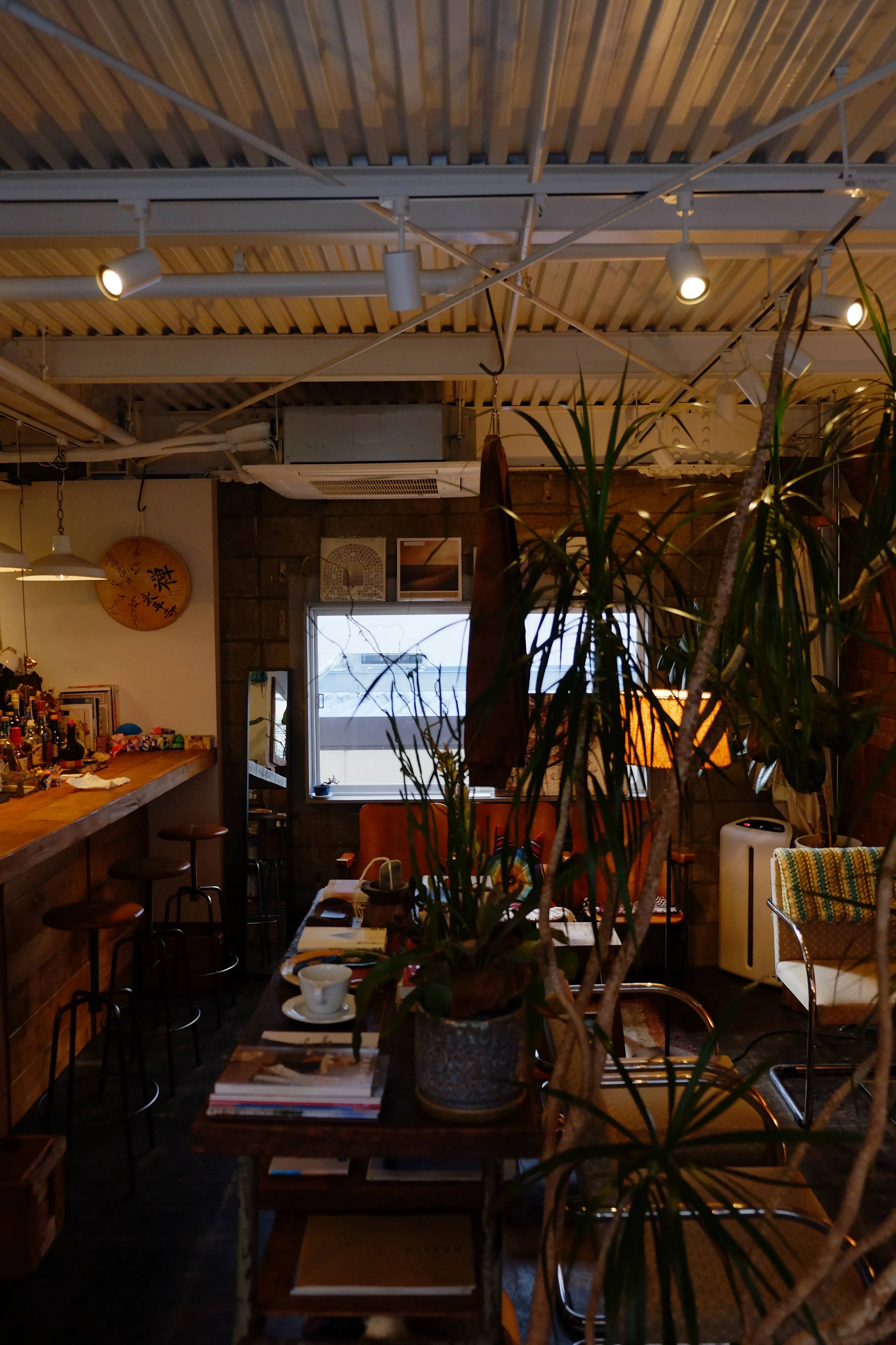 【四ツ橋駅4分】ウッド基調で様々な観葉植物が共存した撮影に最適なレンタルスペース