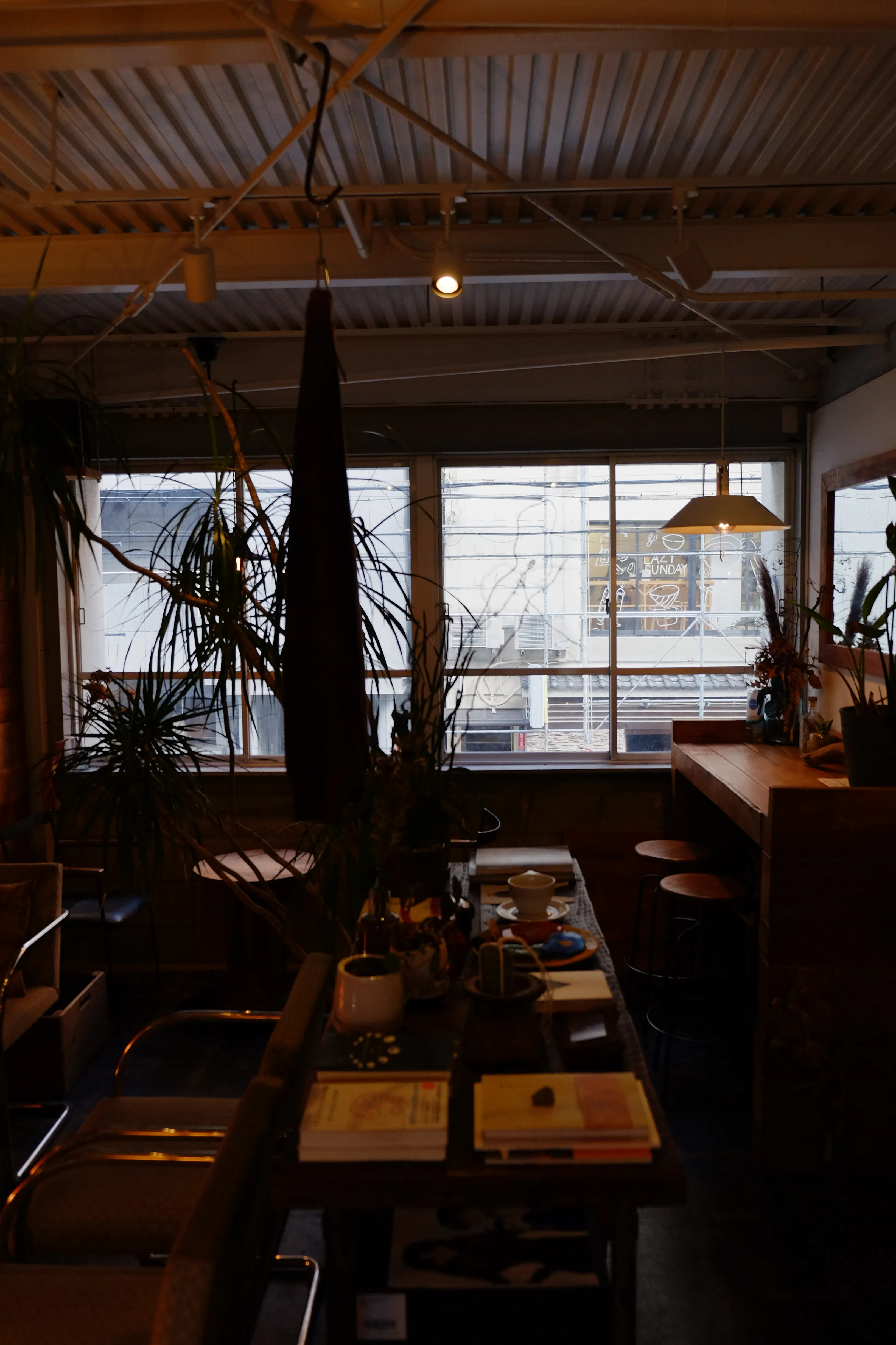 【四ツ橋駅4分】ウッド基調で様々な観葉植物が共存した撮影に最適なレンタルスペース