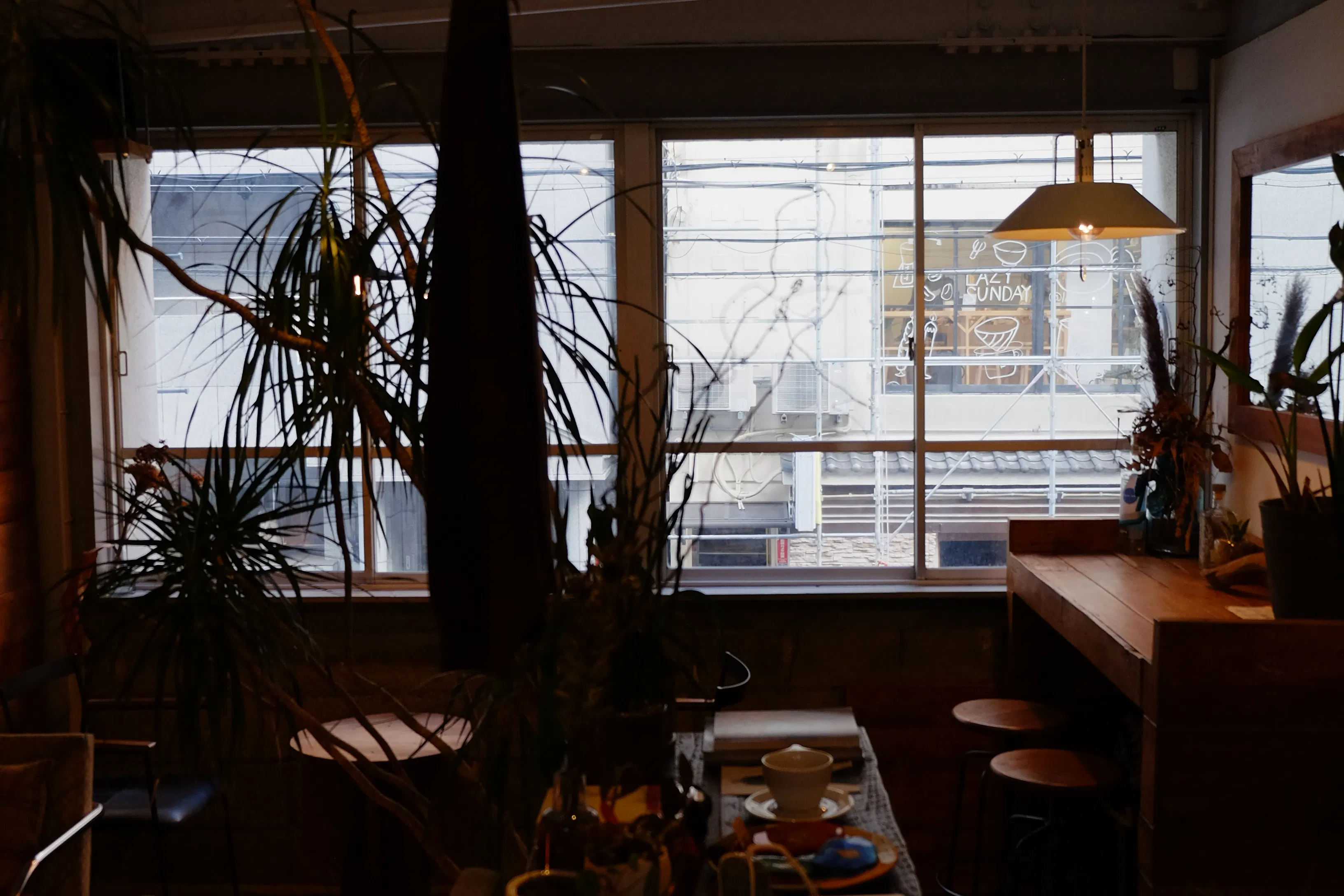 【四ツ橋駅4分】ウッド基調で様々な観葉植物が共存した撮影に最適なレンタルスペース