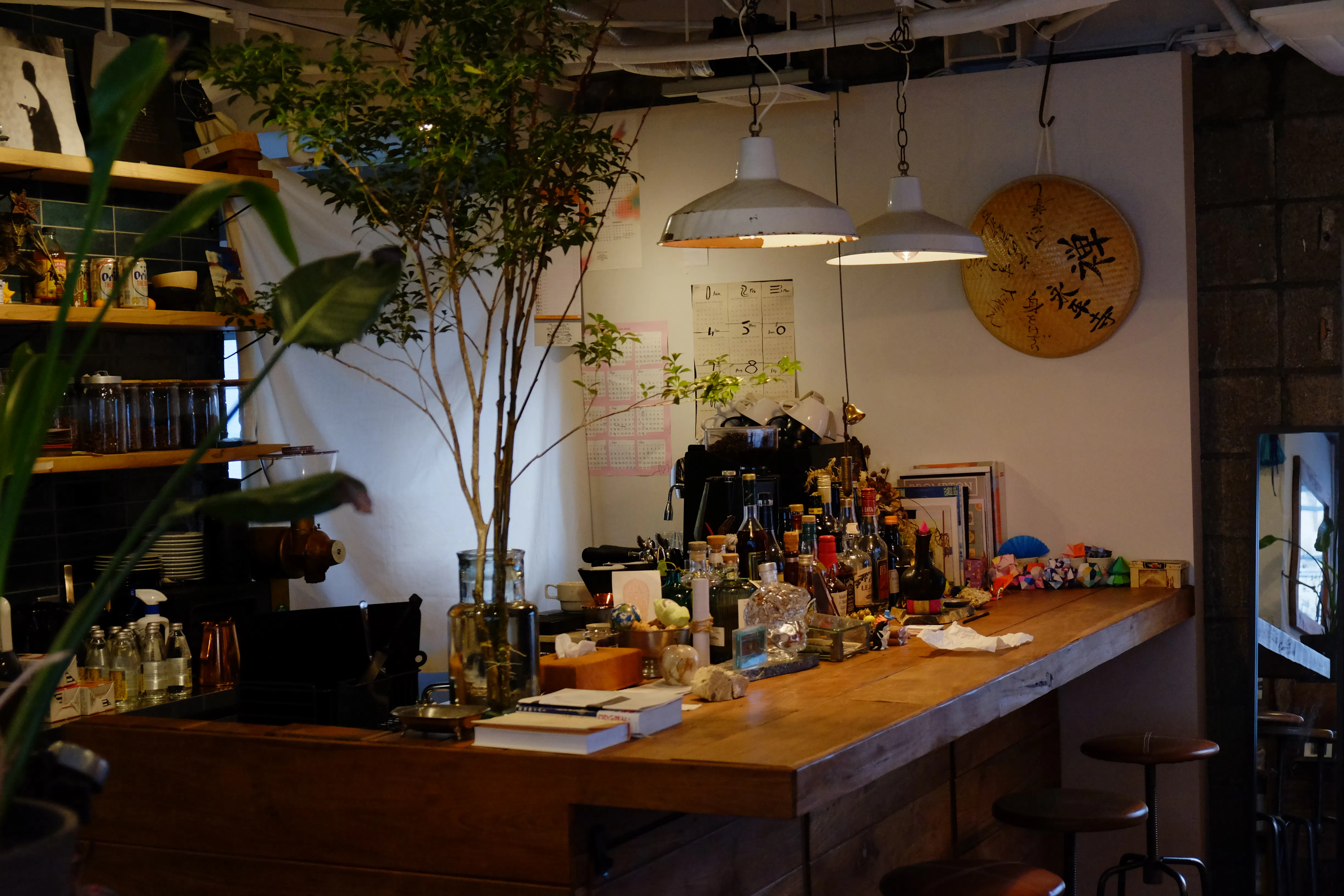 【四ツ橋駅4分】ウッド基調で様々な観葉植物が共存した撮影に最適なレンタルスペース