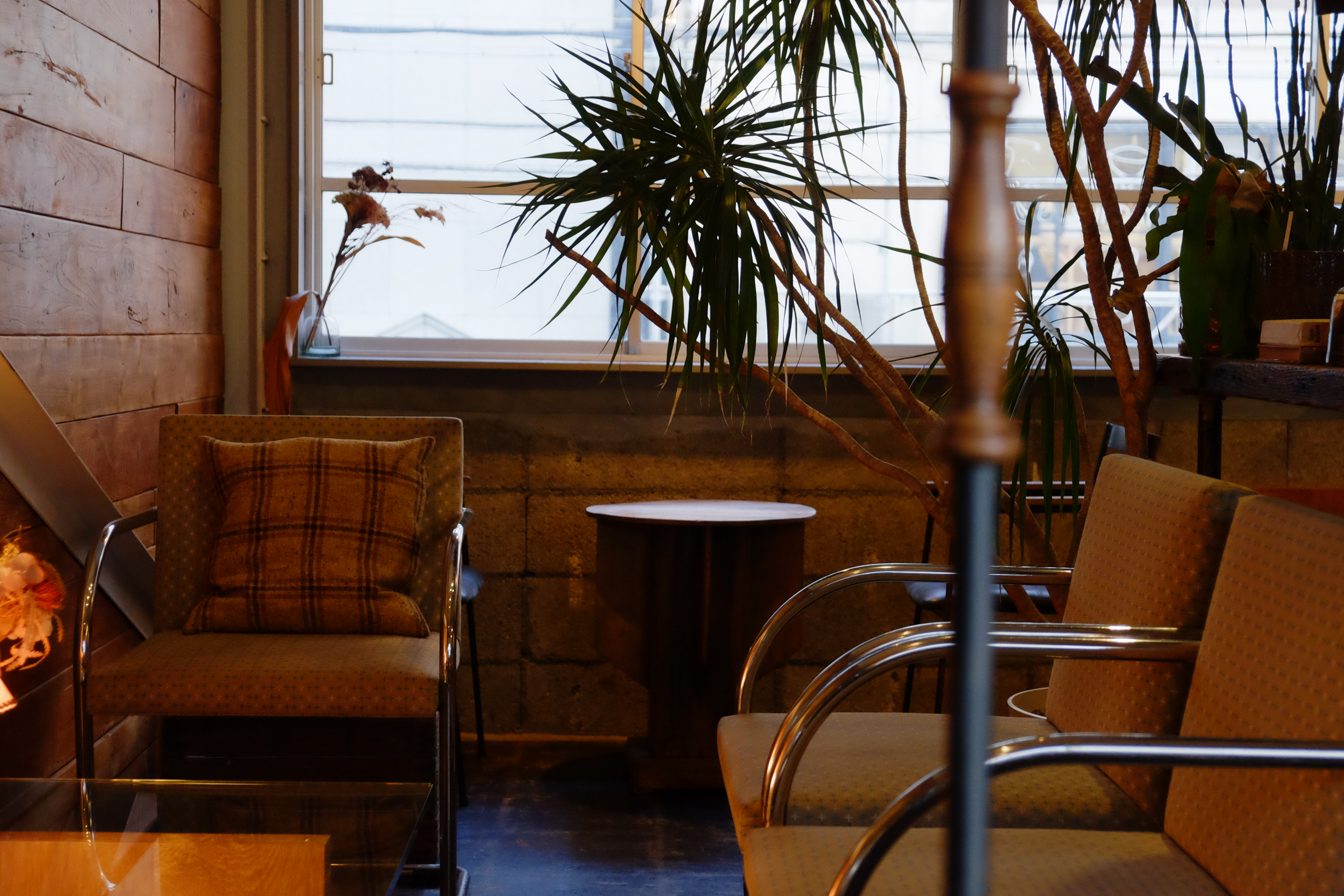 【四ツ橋駅4分】ウッド基調で様々な観葉植物が共存した撮影に最適なレンタルスペース