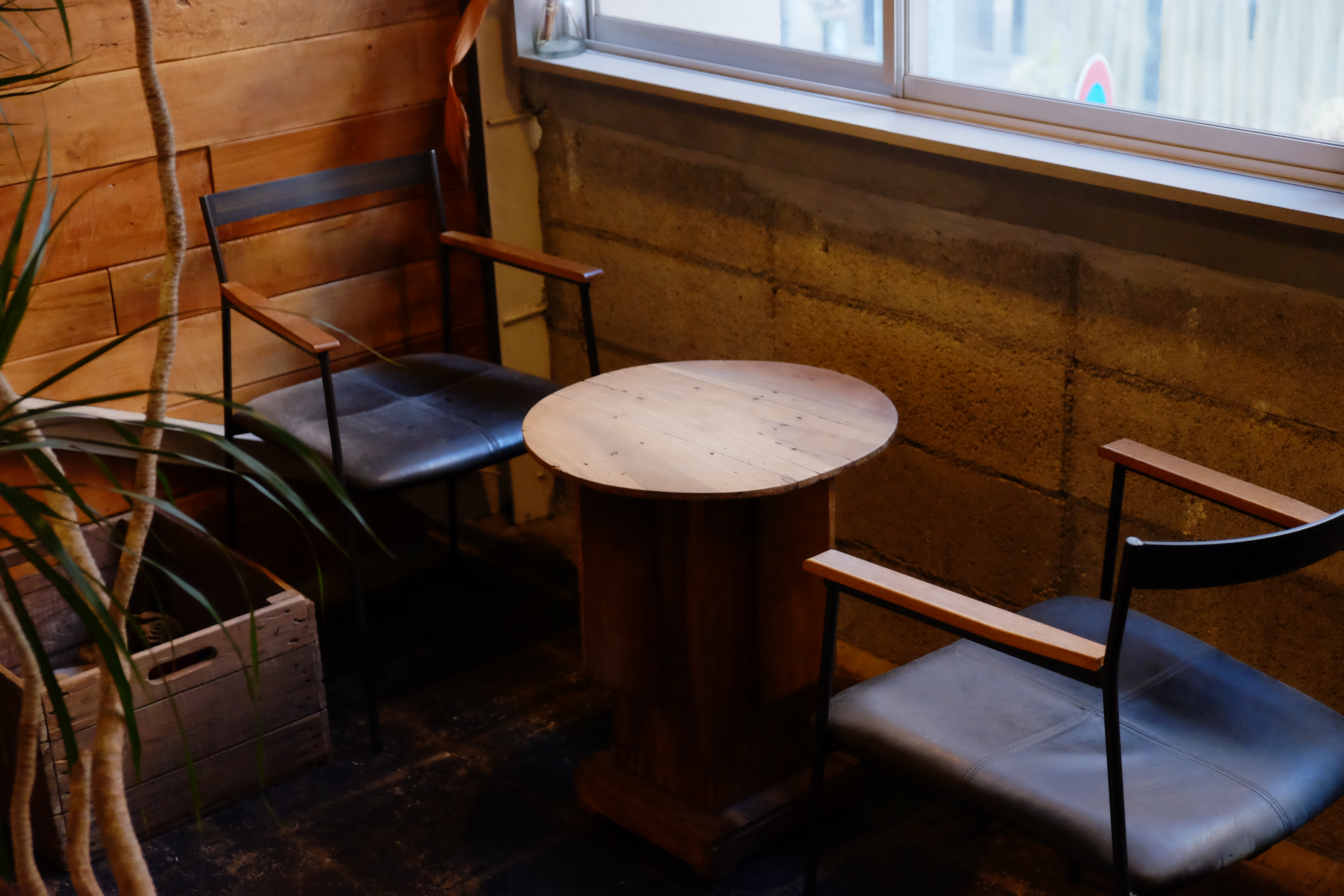 【四ツ橋駅4分】ウッド基調で様々な観葉植物が共存した撮影に最適なレンタルスペース