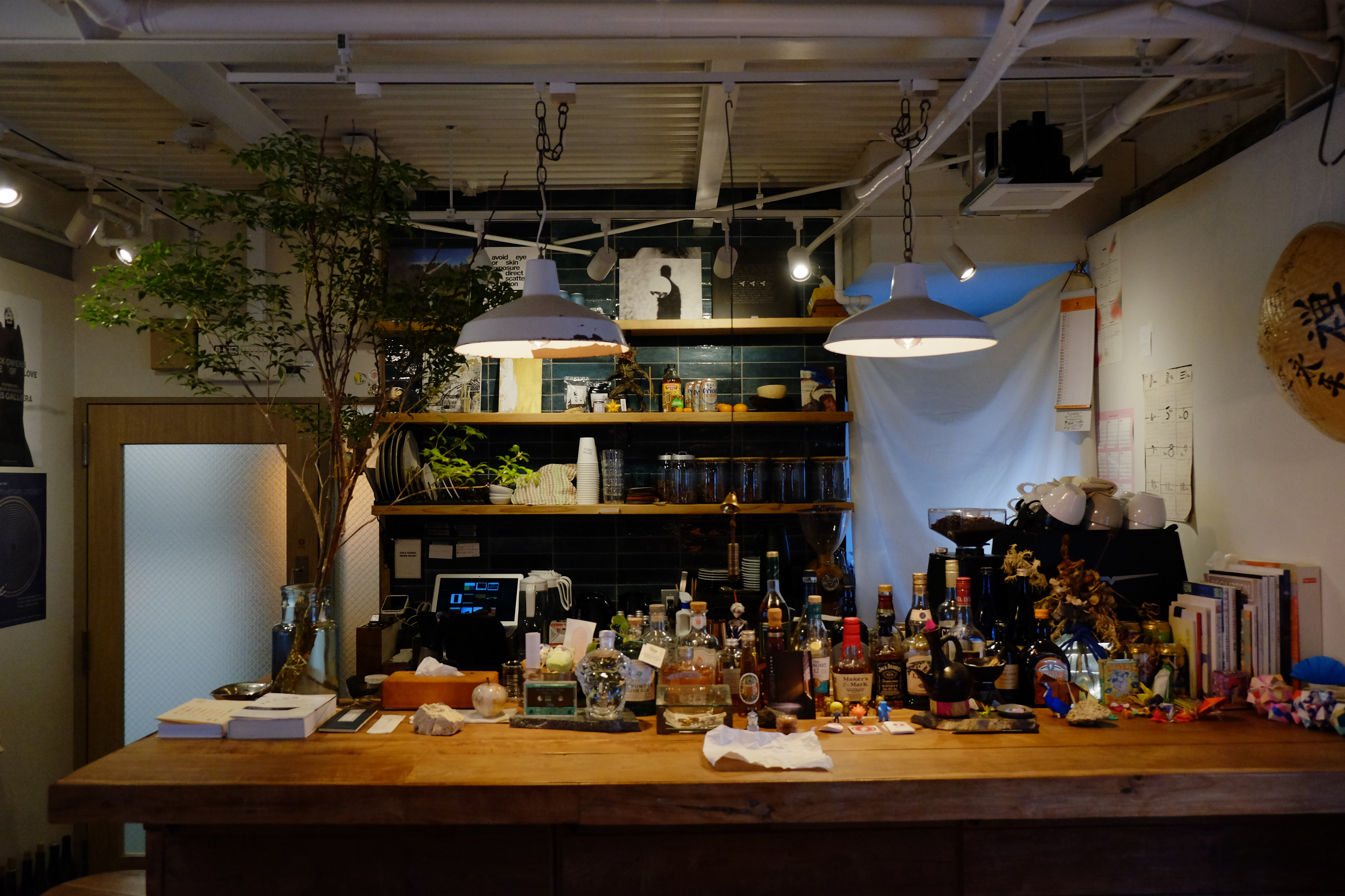 【四ツ橋駅4分】ウッド基調で様々な観葉植物が共存した撮影に最適なレンタルスペース