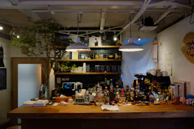 【四ツ橋駅4分】ウッド基調で様々な観葉植物が共存した撮影に最適なレンタルスペース