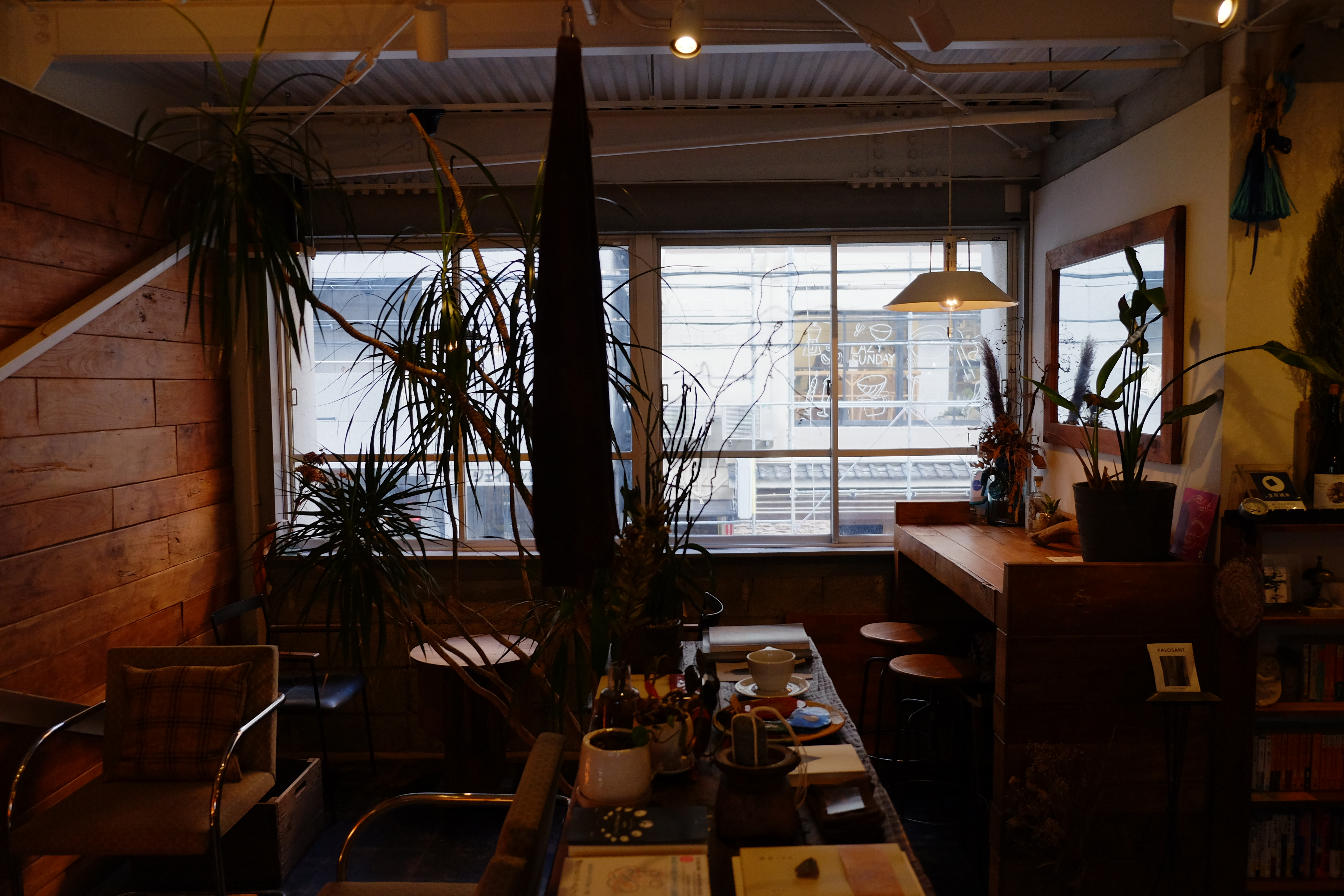 【四ツ橋駅4分】ウッド基調で様々な観葉植物が共存した撮影に最適なレンタルスペース