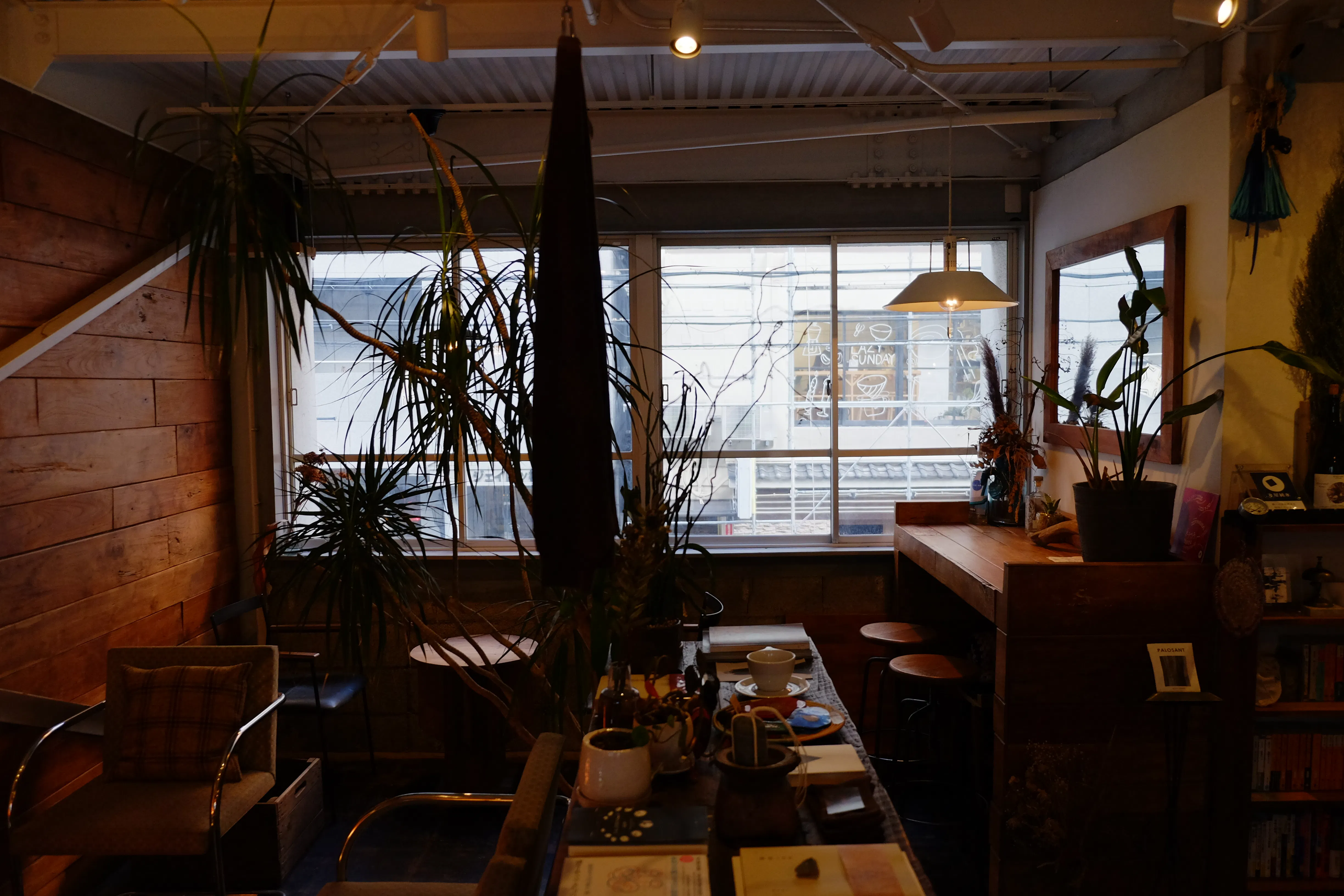 【四ツ橋駅4分】ウッド基調で様々な観葉植物が共存した撮影に最適なレンタルスペース