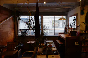 【四ツ橋駅4分】ウッド基調で様々な観葉植物が共存した撮影に最適なレンタルスペース