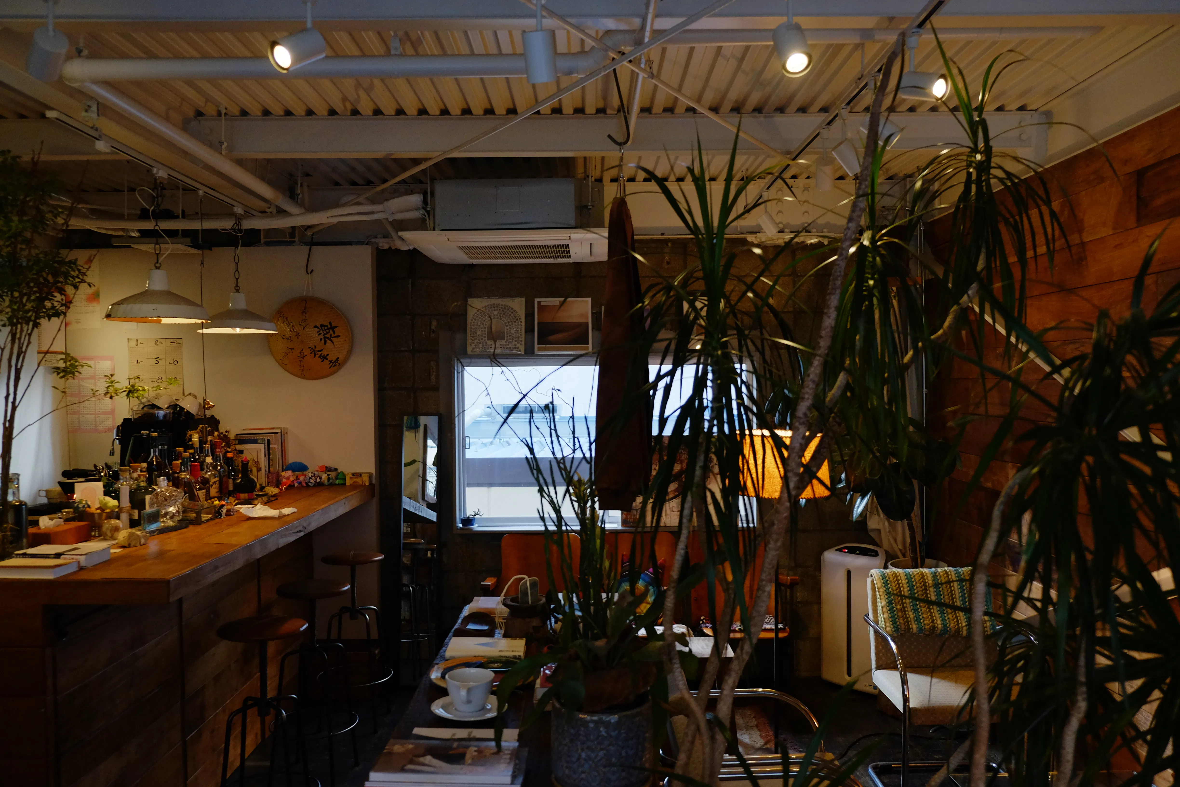 【四ツ橋駅4分】ウッド基調で様々な観葉植物が共存した撮影に最適なレンタルスペース