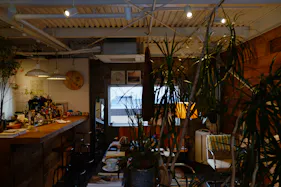 【四ツ橋駅4分】ウッド基調で様々な観葉植物が共存した撮影に最適なレンタルスペース