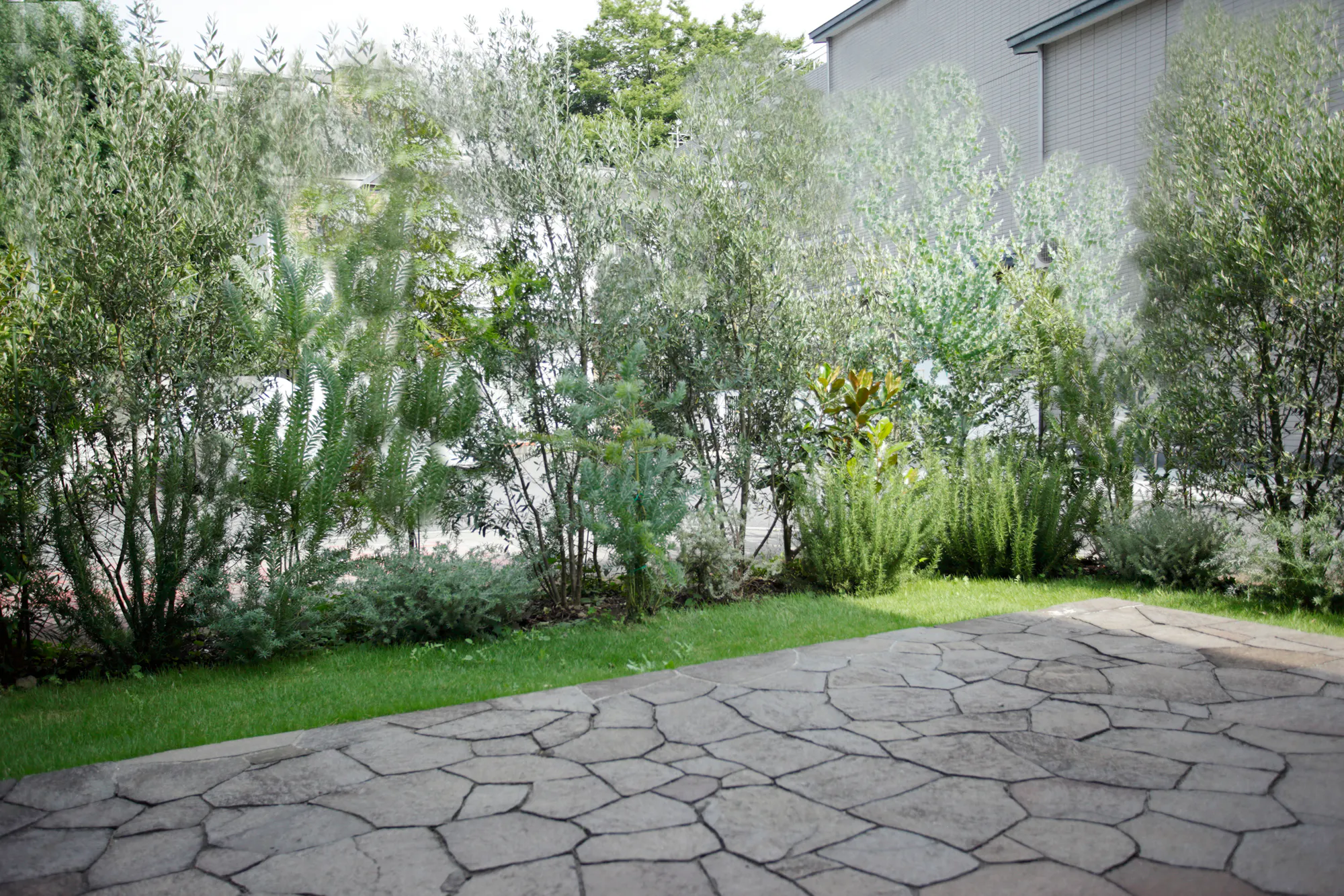 【白金台駅3分】撮影やパーティに適した一軒家レンタルスペース