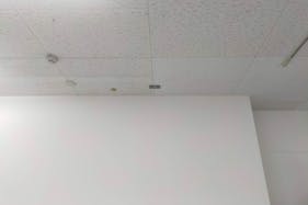 【メガセンタートライアル宇都宮店】出張販売やポップアップストアに適した1階サービスカウンター横スペース【買取催事不可】