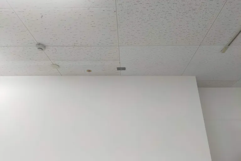 【メガセンタートライアル宇都宮店】出張販売やポップアップストアに適した1階サービスカウンター横スペース【買取催事不可】の画像3