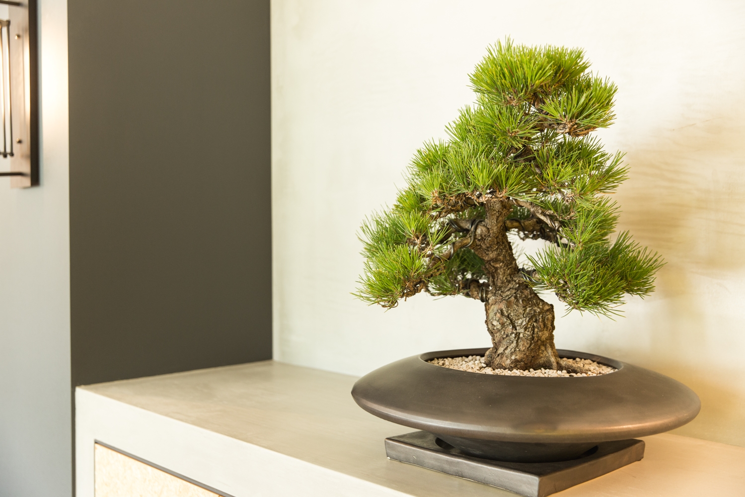 【明治神宮前(原宿)駅3分】外国人観光客が多く訪れる原宿のポップカルチャーギャラリー