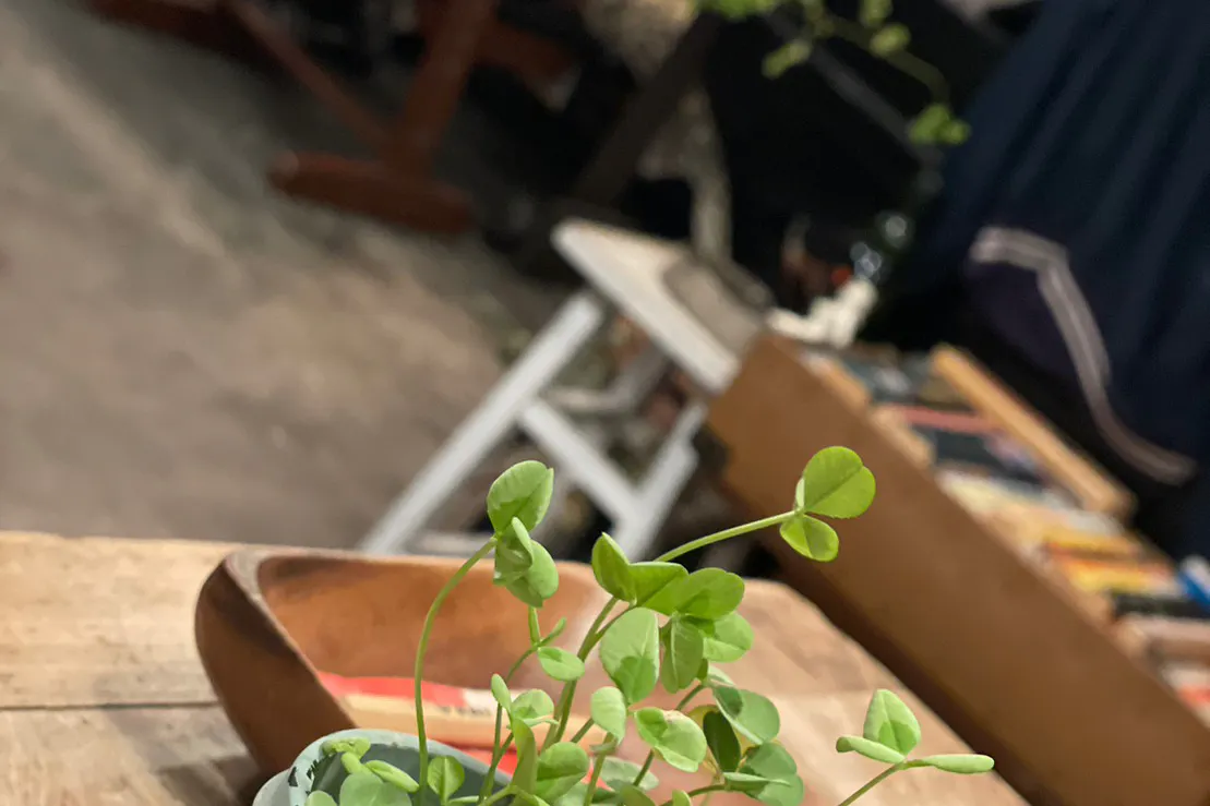 【中目黒駅10分】カフェ・レストランの短期出店や個展などアート用途、招待制のイベントに最適なアコースティック系のライブも可能なレンタルスペース