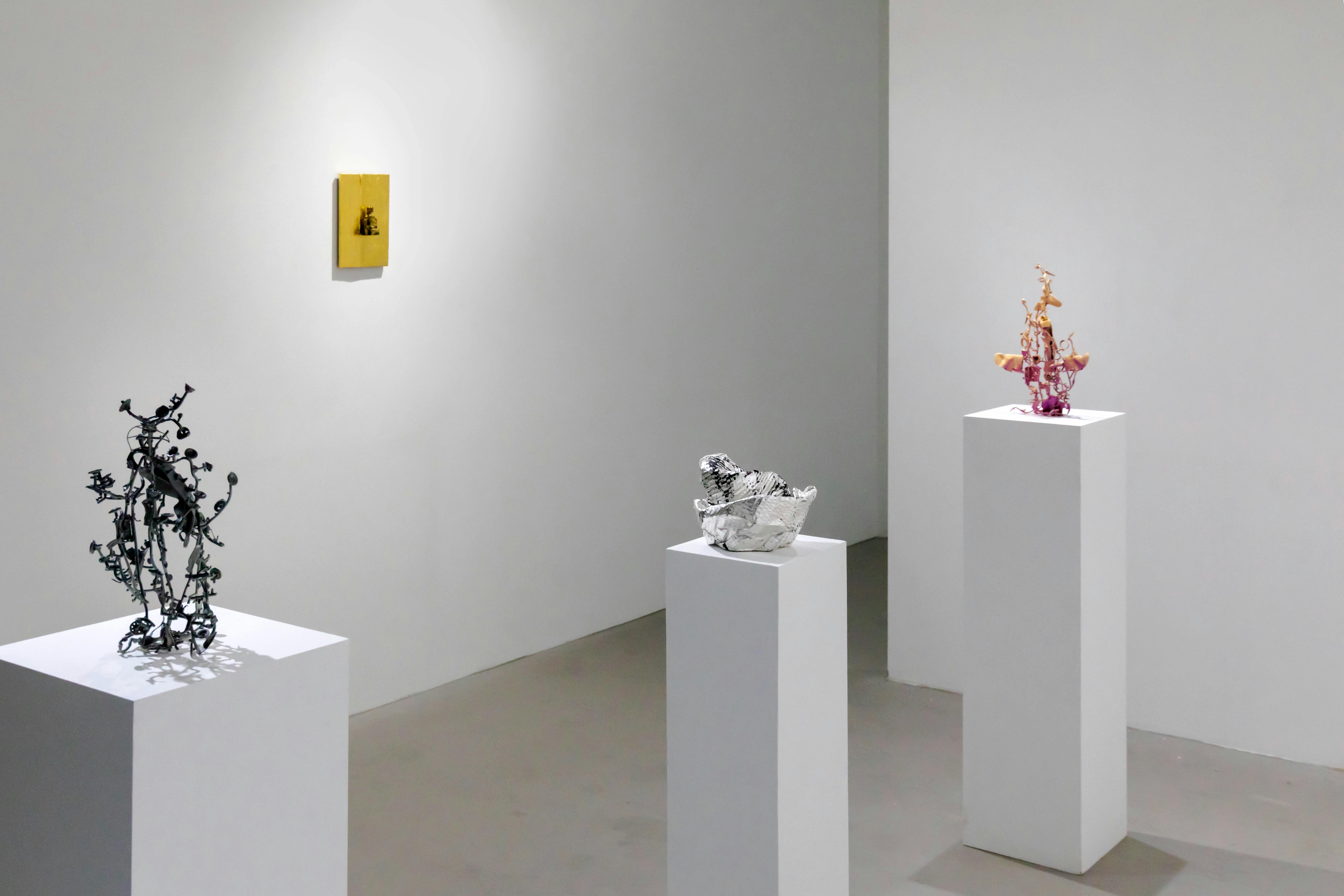 【清澄白河駅10分】展示会やポップアップに最適！自然光が美しいホワイトキューブ仕様のレンタルスペース「GALLERY WATER」