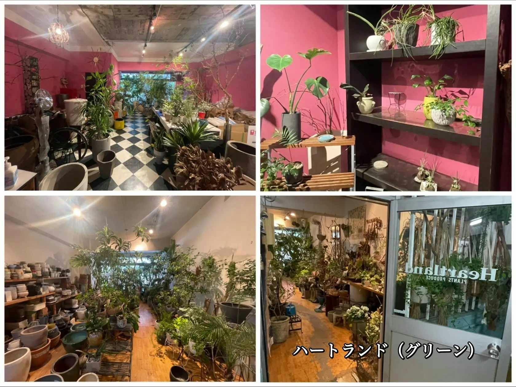 【初台駅5分】カメラ1台で本格的な撮影可能／撮影実績多数／近隣駐車場多数で搬入も簡単