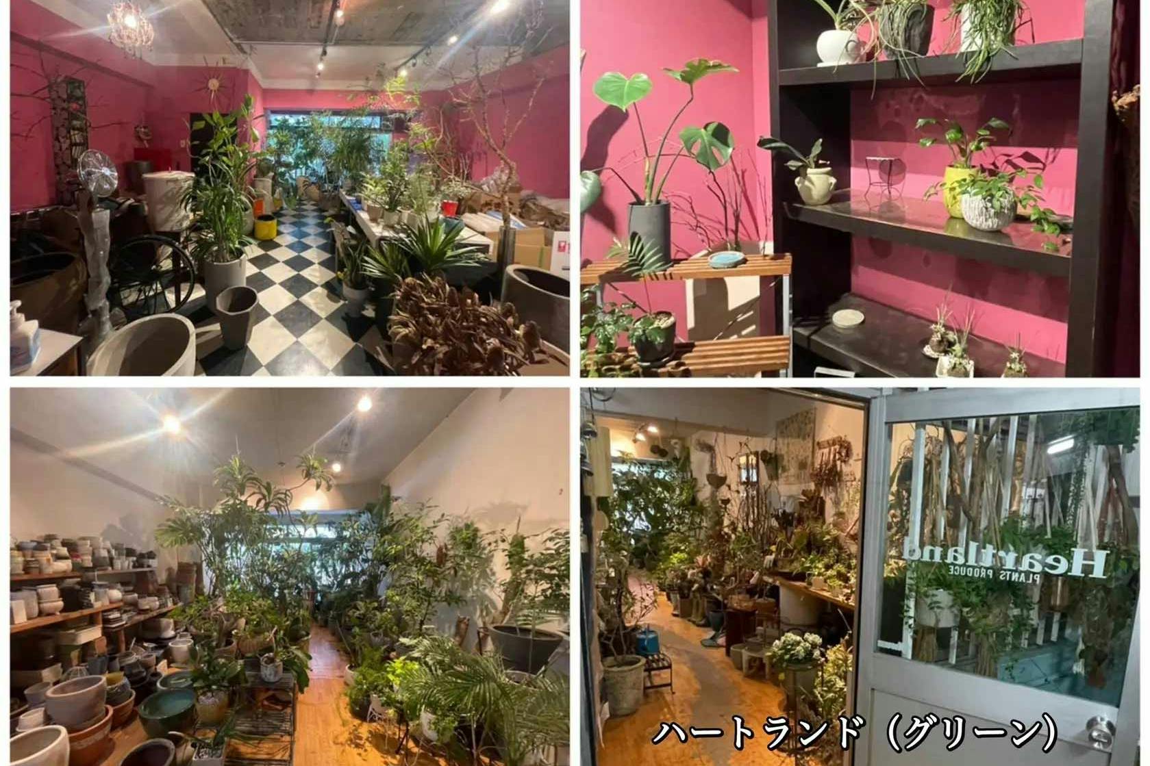 【初台駅5分】カメラ1台で本格的な撮影可能/撮影実績多数/近隣駐車場多数で搬入も簡単