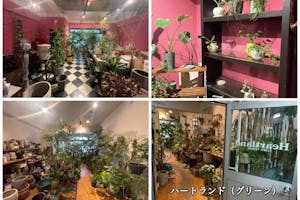 【初台駅5分】カメラ1台で本格的な撮影可能/撮影実績多数/近隣駐車場多数で搬入も簡単