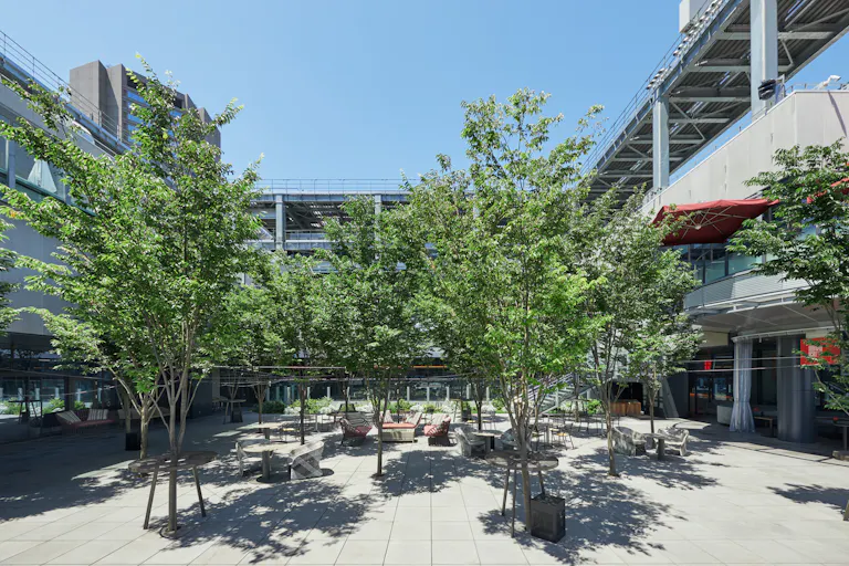 【東急プラザ渋谷】撮影やワークショップに適した大型商業施設にある眺望抜群な屋外スペース(17階)の画像7