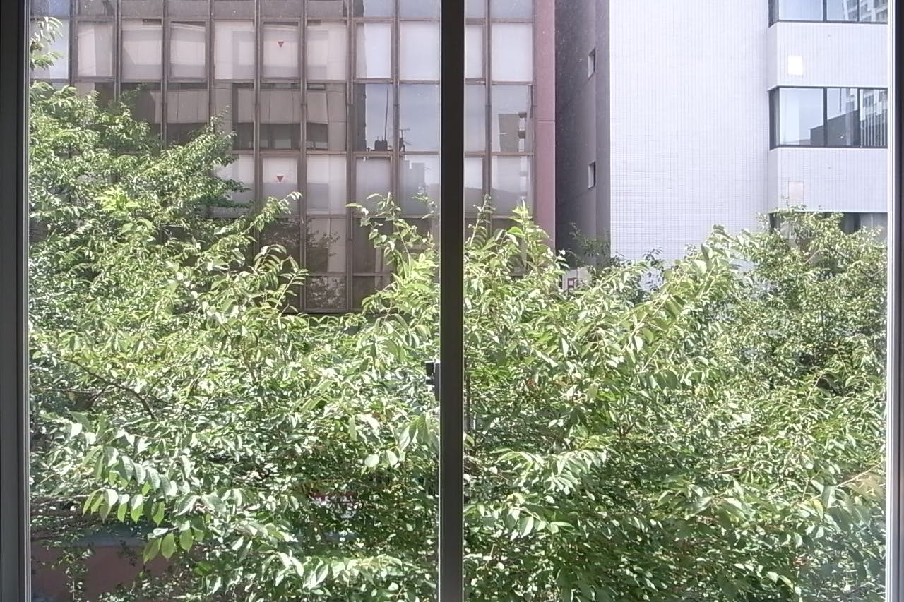 ビルが桜坂に面しているため窓からは緑、春は満開の桜