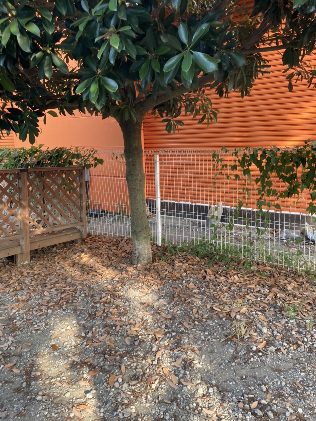 【ユニディ湘南平塚店】屋外ドッグラン　ペット商品のサンプリングや商品のアピールが可能な催事イベントスペース