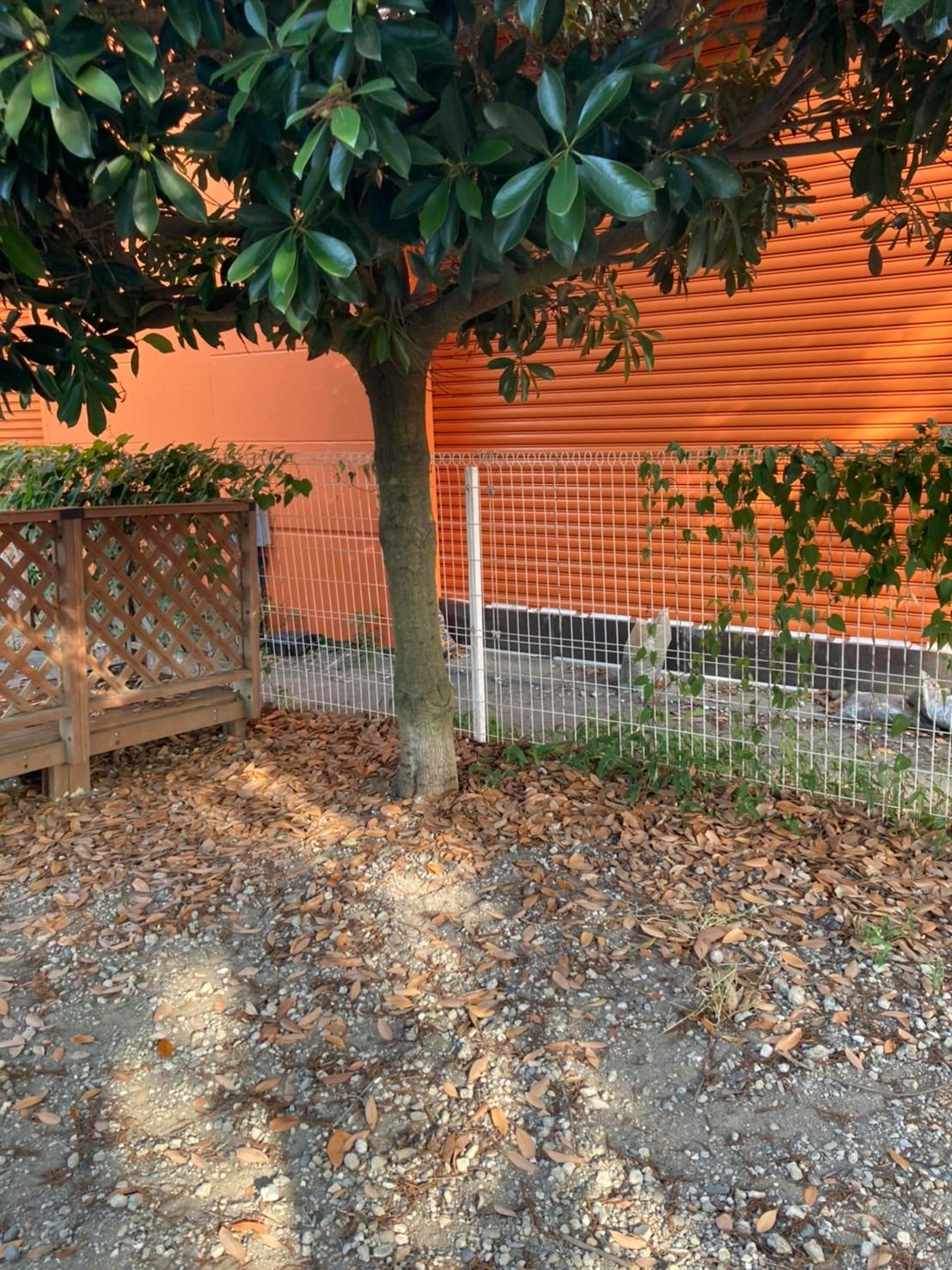 【ユニディ湘南平塚店】屋外ドッグラン　ペット商品のサンプリングや商品のアピールが可能な催事イベントスペースの画像