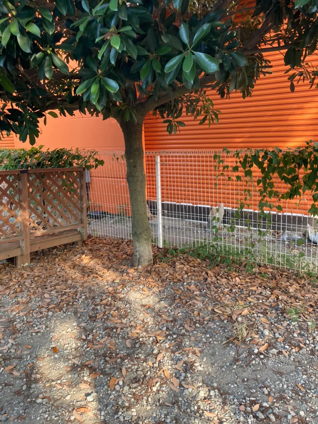 【ユニディ湘南平塚店】屋外ドッグラン　ペット商品のサンプリングや商品のアピールが可能な催事イベントスペース