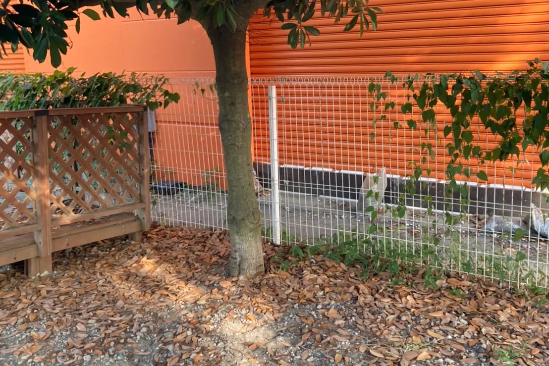 【ユニディ湘南平塚店】屋外ドッグラン ペット商品のサンプリングや商品のアピールが可能な催事イベントスペース