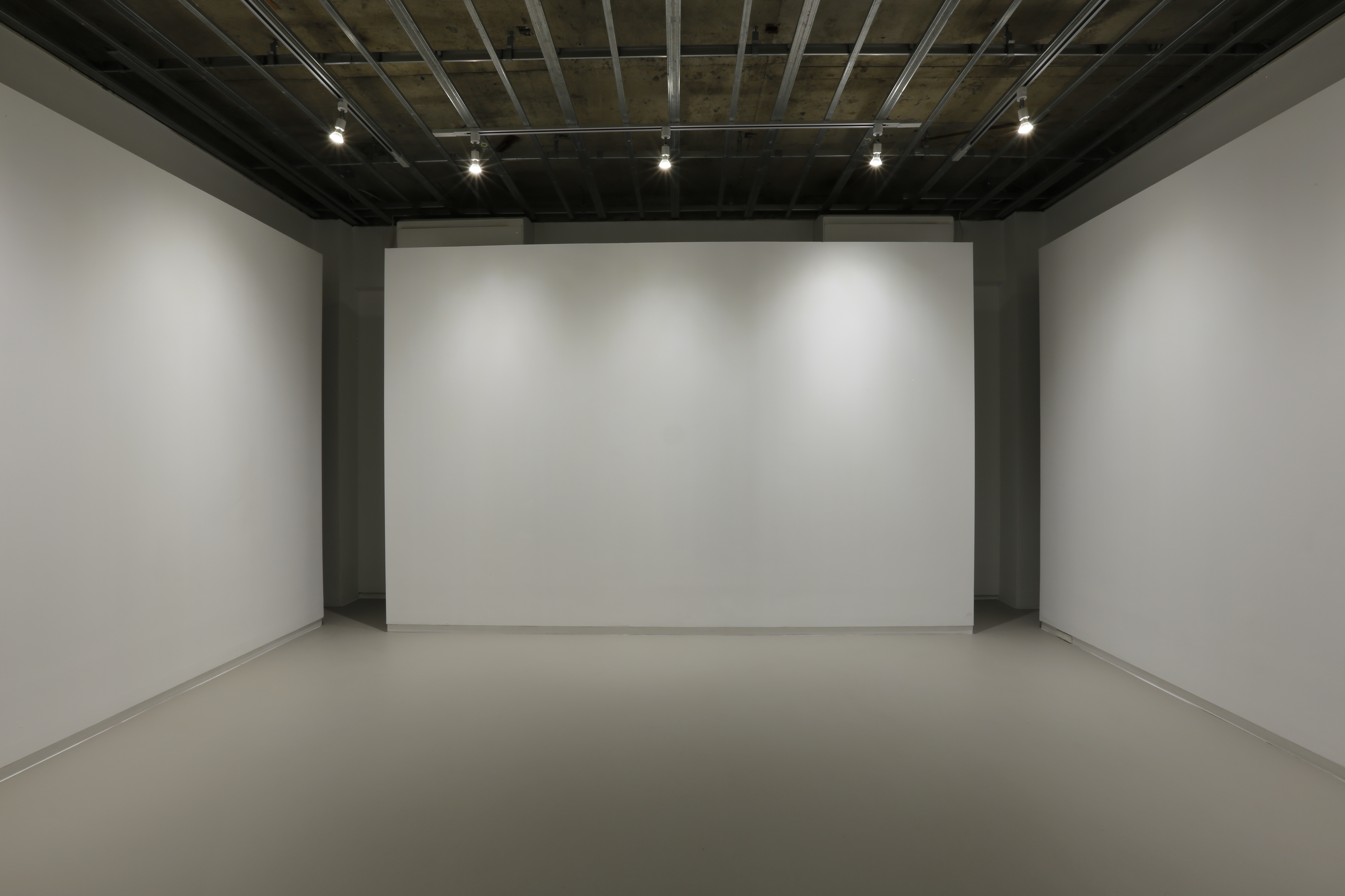 白度の高い照明によって平面作品がより美しく映えます