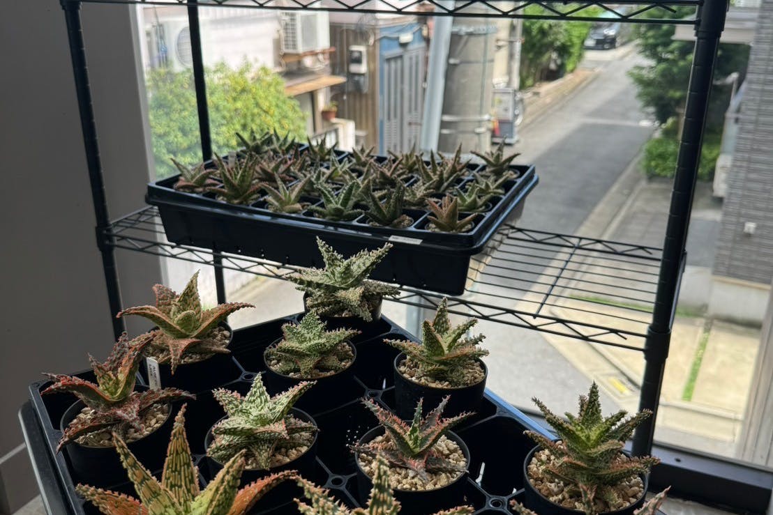 【中目黒駅3分】ポップアップストアや展示会に最適なハンガーラック完備の駅近スペース