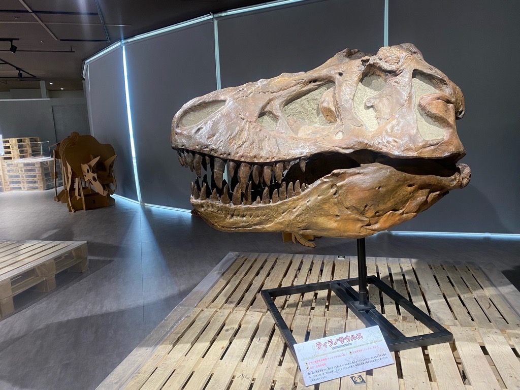 【北千住マルイ】7階 カレンダリウムC04【物販・PR・展示イベント】大型デジタルサイネージ完備、レイアウト自由な大型イベントスペース