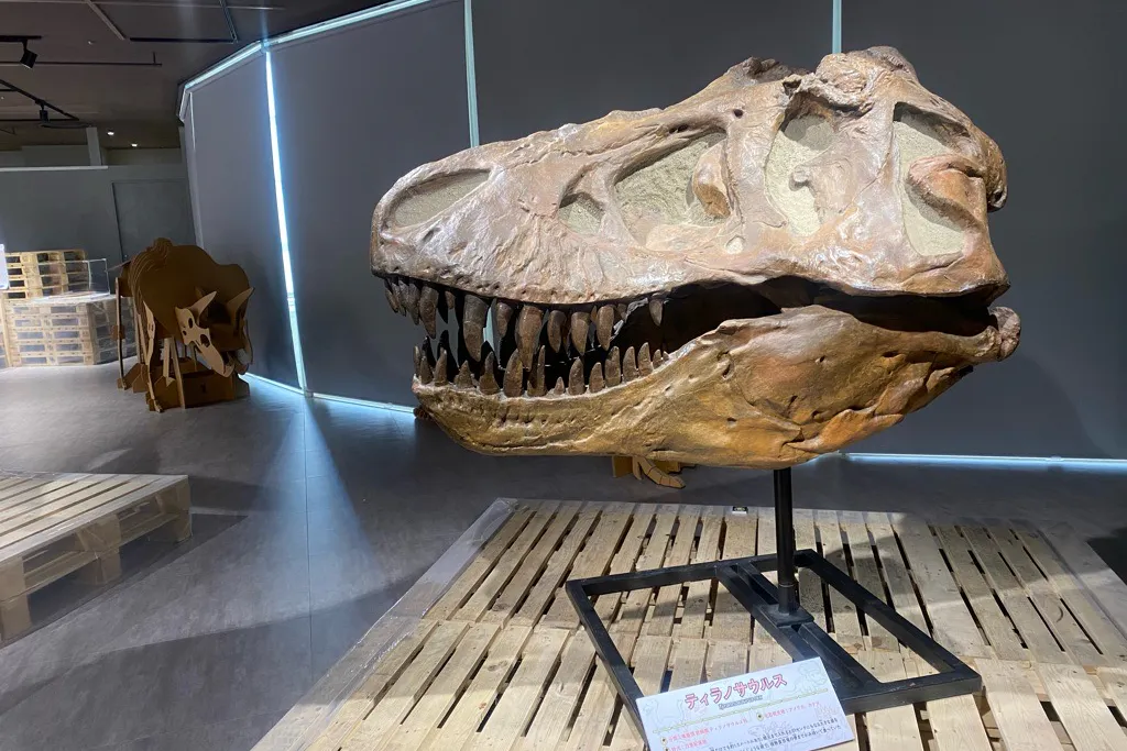 【北千住マルイ】7階 カレンダリウムC04【物販・PR・展示イベント】大型デジタルサイネージ完備、レイアウト自由な大型イベントスペース