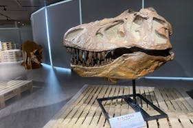 【北千住マルイ】7階 カレンダリウムC04【物販・PR・展示イベント】大型デジタルサイネージ完備、レイアウト自由な大型イベントスペース