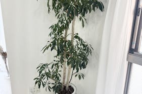 【表参道駅10分】展示会やポップアップストアに最適な自然光が溢れる白を貴重としたレンタルスペース