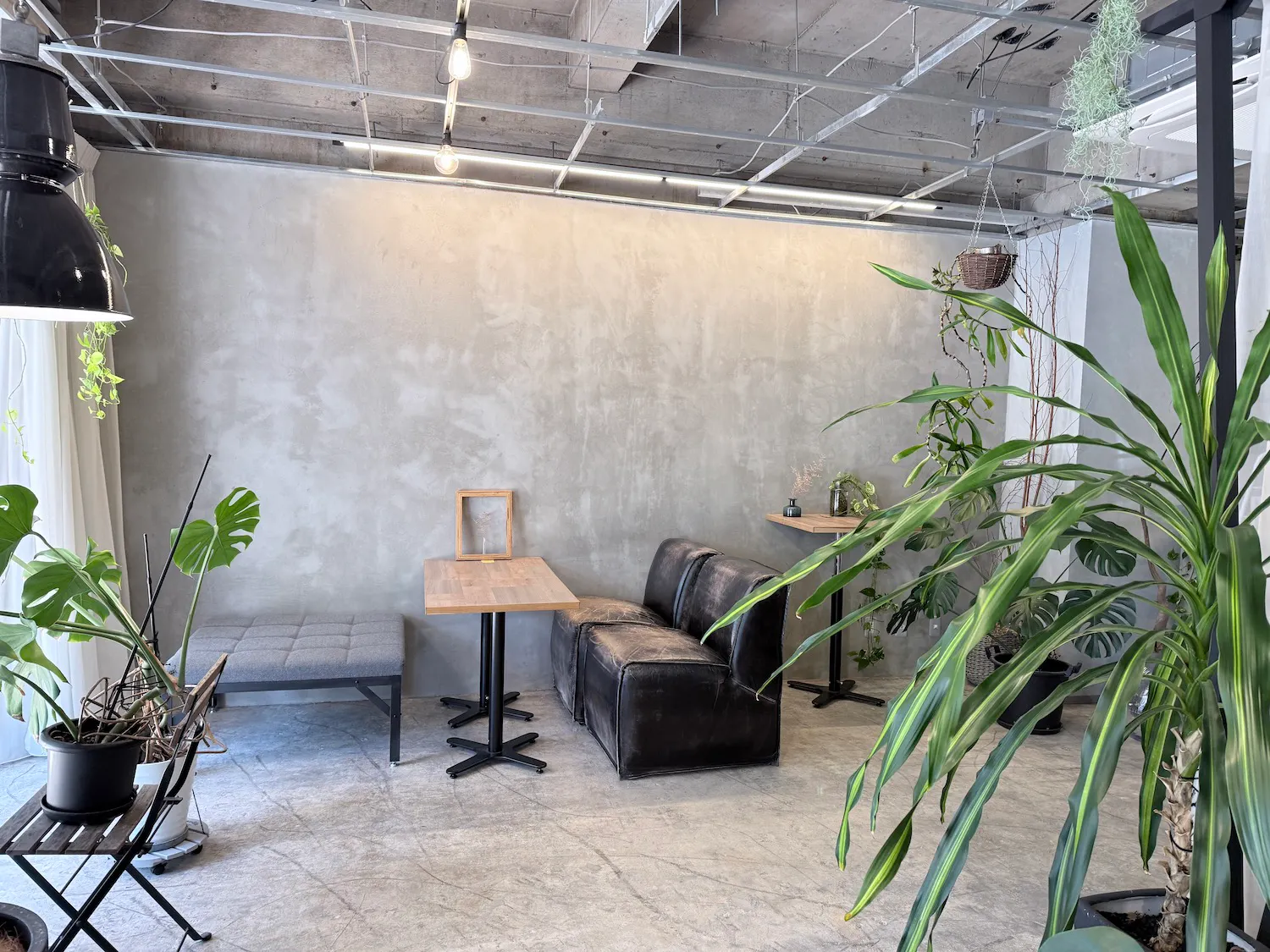 【新静岡駅3分｜静岡駅10分】全面ガラス張り・植物のある路面ポップアップスペース