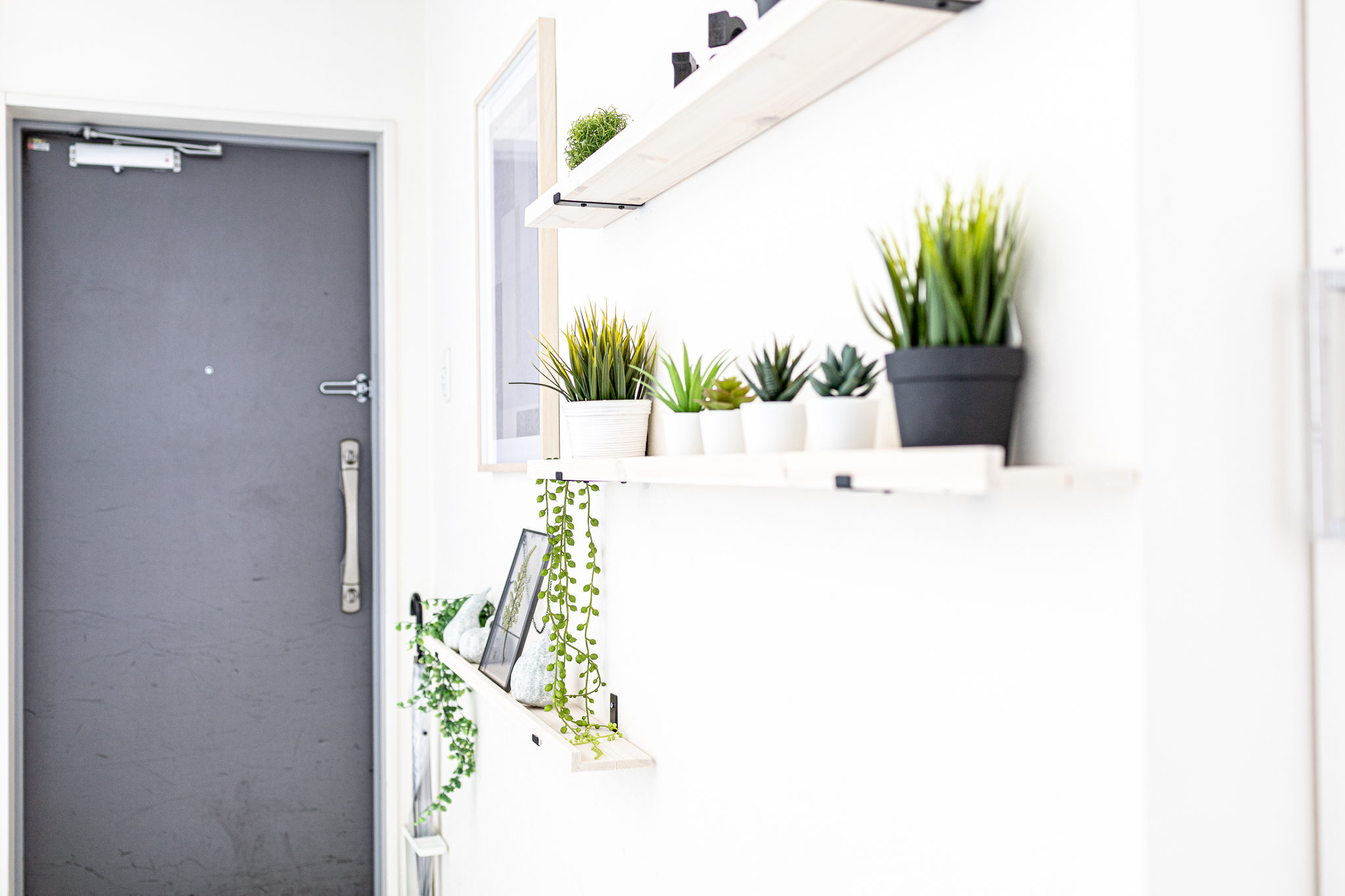 【明治神宮前駅6分】豊富なグリーンとナチュラルな自然光がおすすめ　原宿・表参道のスタジオの画像8