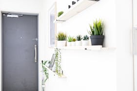 【明治神宮前駅6分】豊富なグリーンとナチュラルな自然光がおすすめ 原宿・表参道のスタジオ