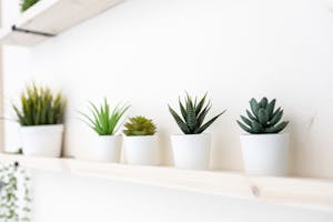 【明治神宮前駅6分】豊富なグリーンとナチュラルな自然光がおすすめ 原宿・表参道のスタジオ