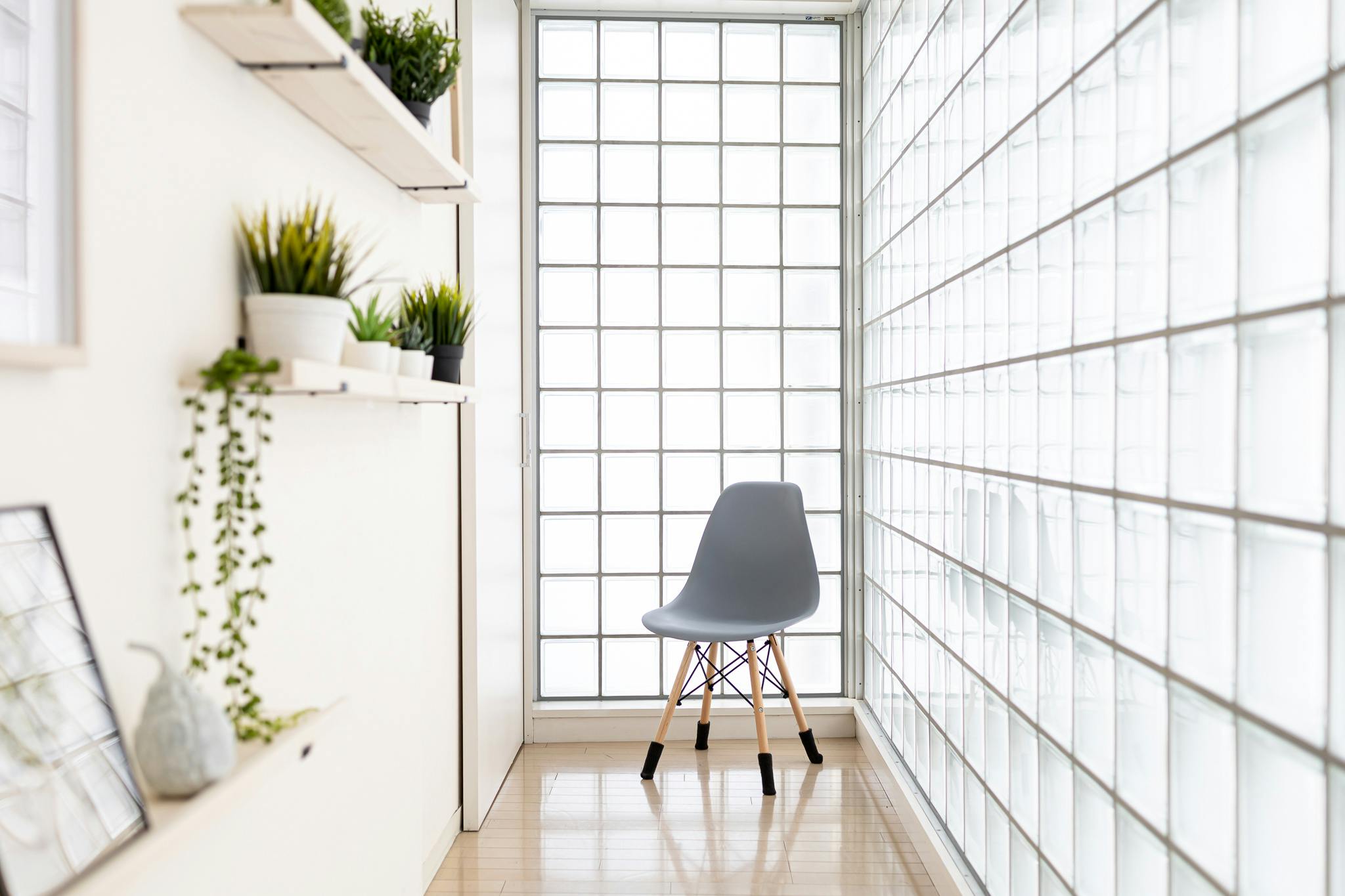 【明治神宮前駅6分】豊富なグリーンとナチュラルな自然光がおすすめ 原宿・表参道のスタジオ