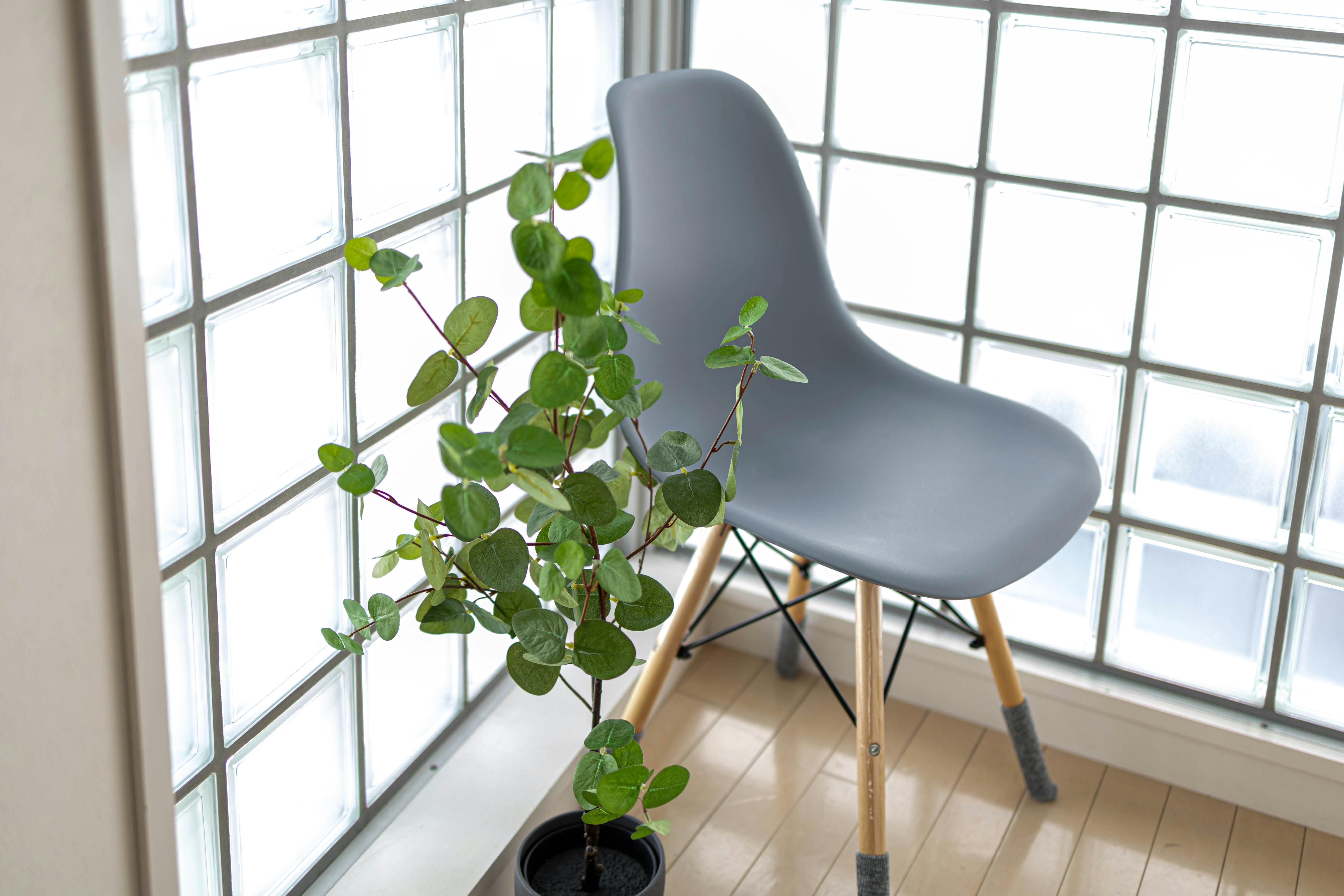 【明治神宮前駅6分】豊富なグリーンとナチュラルな自然光がおすすめ 原宿・表参道のスタジオ