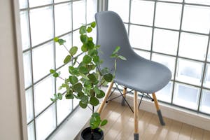 【明治神宮前駅6分】豊富なグリーンとナチュラルな自然光がおすすめ 原宿・表参道のスタジオ