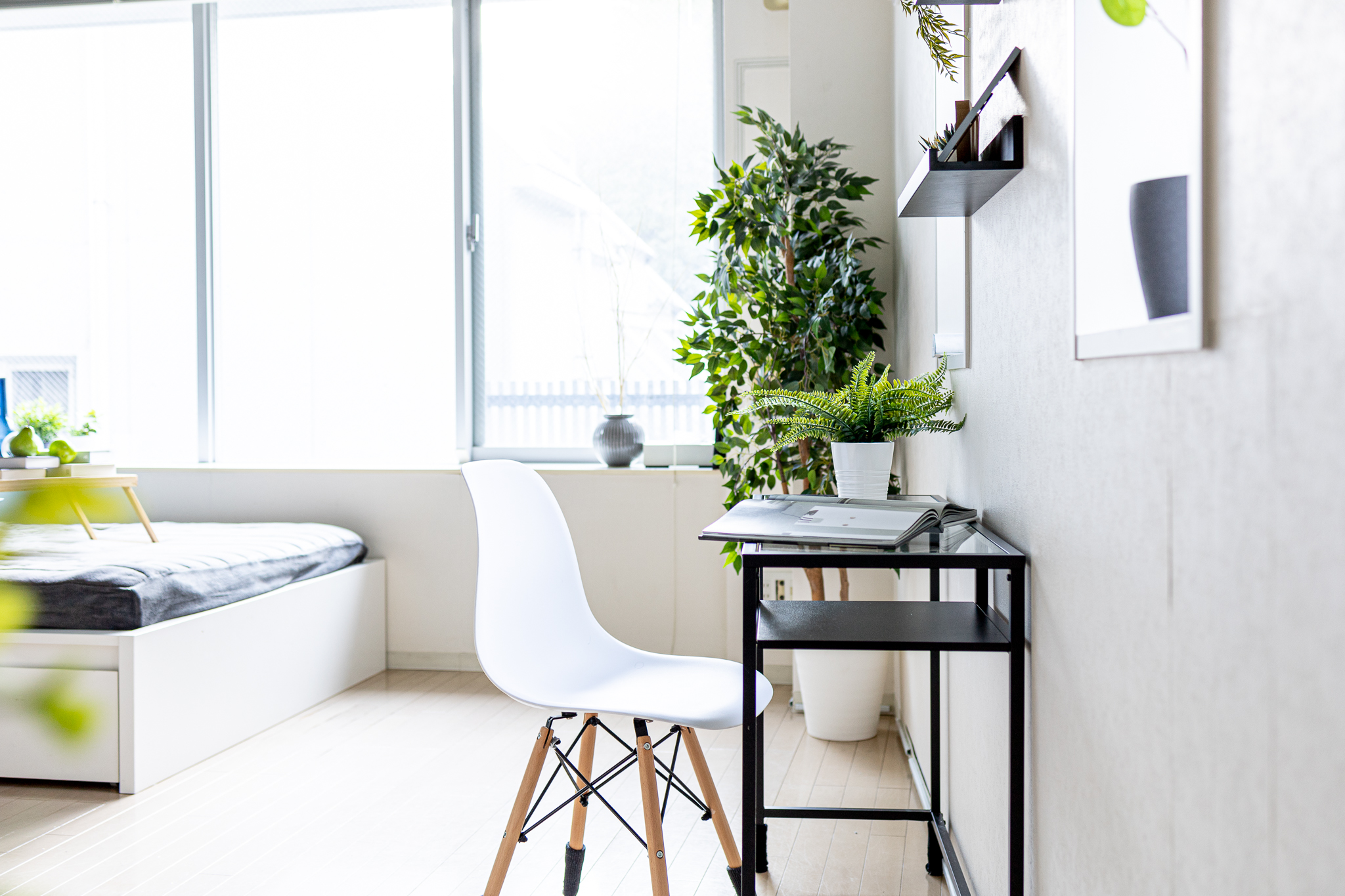 【明治神宮前駅6分】豊富なグリーンとナチュラルな自然光がおすすめ　原宿・表参道のスタジオの画像12