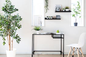 【明治神宮前駅6分】豊富なグリーンとナチュラルな自然光がおすすめ 原宿・表参道のスタジオ